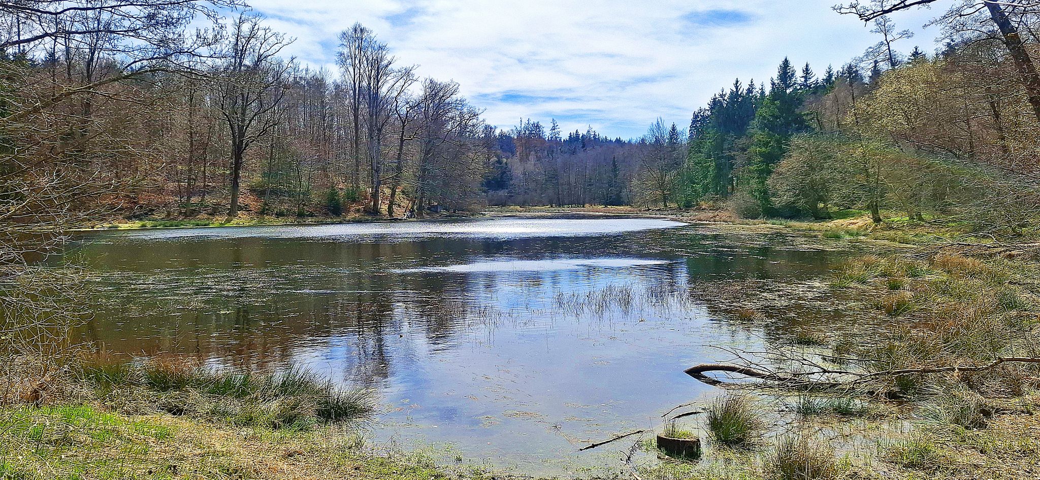 Anhauser Weiher