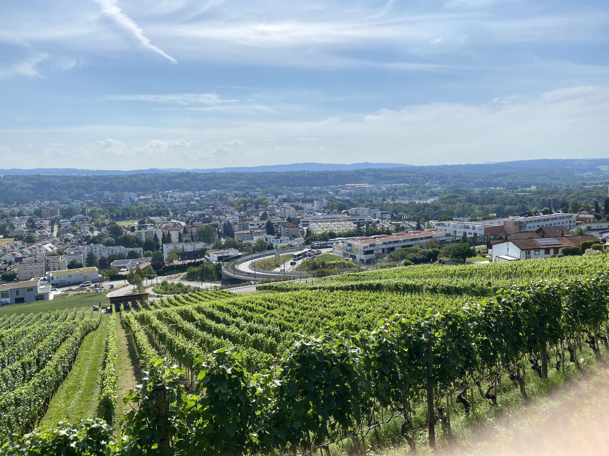 Blick auf Zufikon und Bremgarten