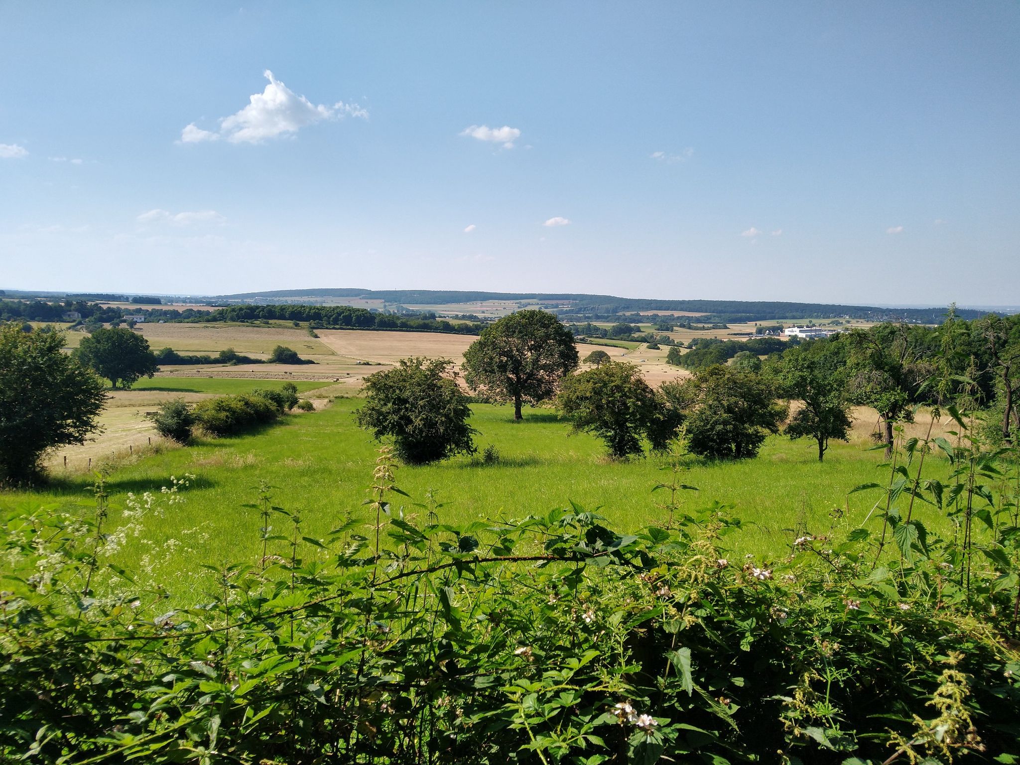 Schöne Aussicht vom Trail