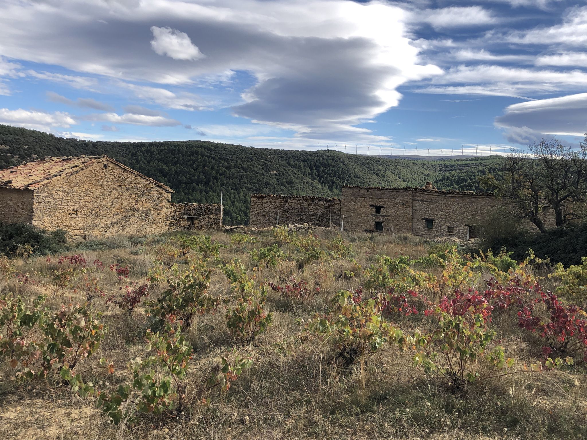Mas de Clara, Cinctorres
