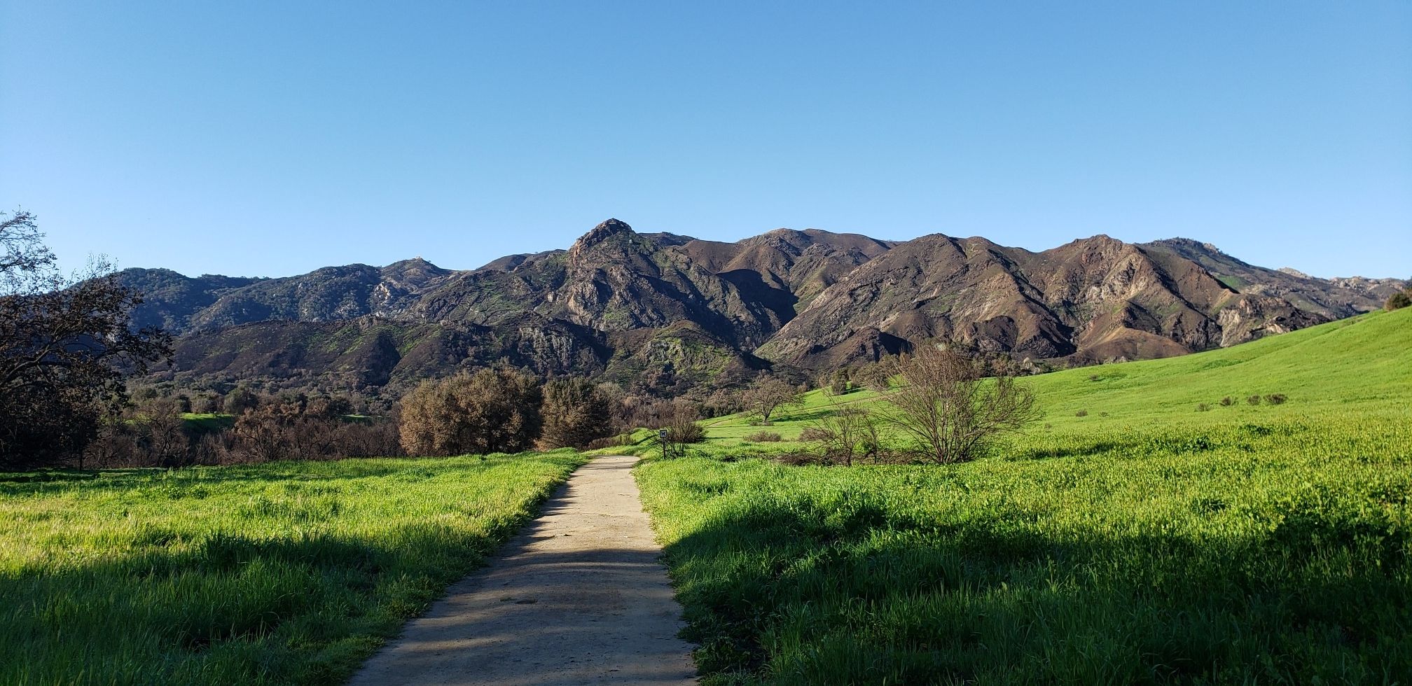 Dirt path through a vibrant green field leading to distant mountains. - Talepop Loop