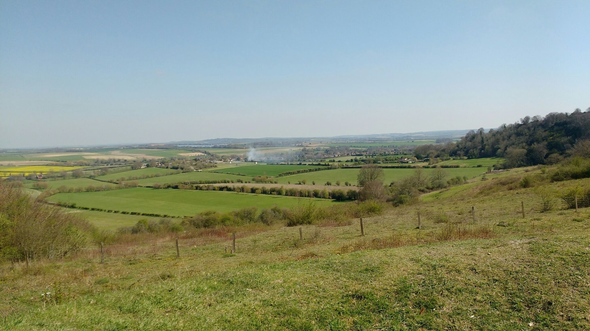 Broughton Down from Plum Pudding 