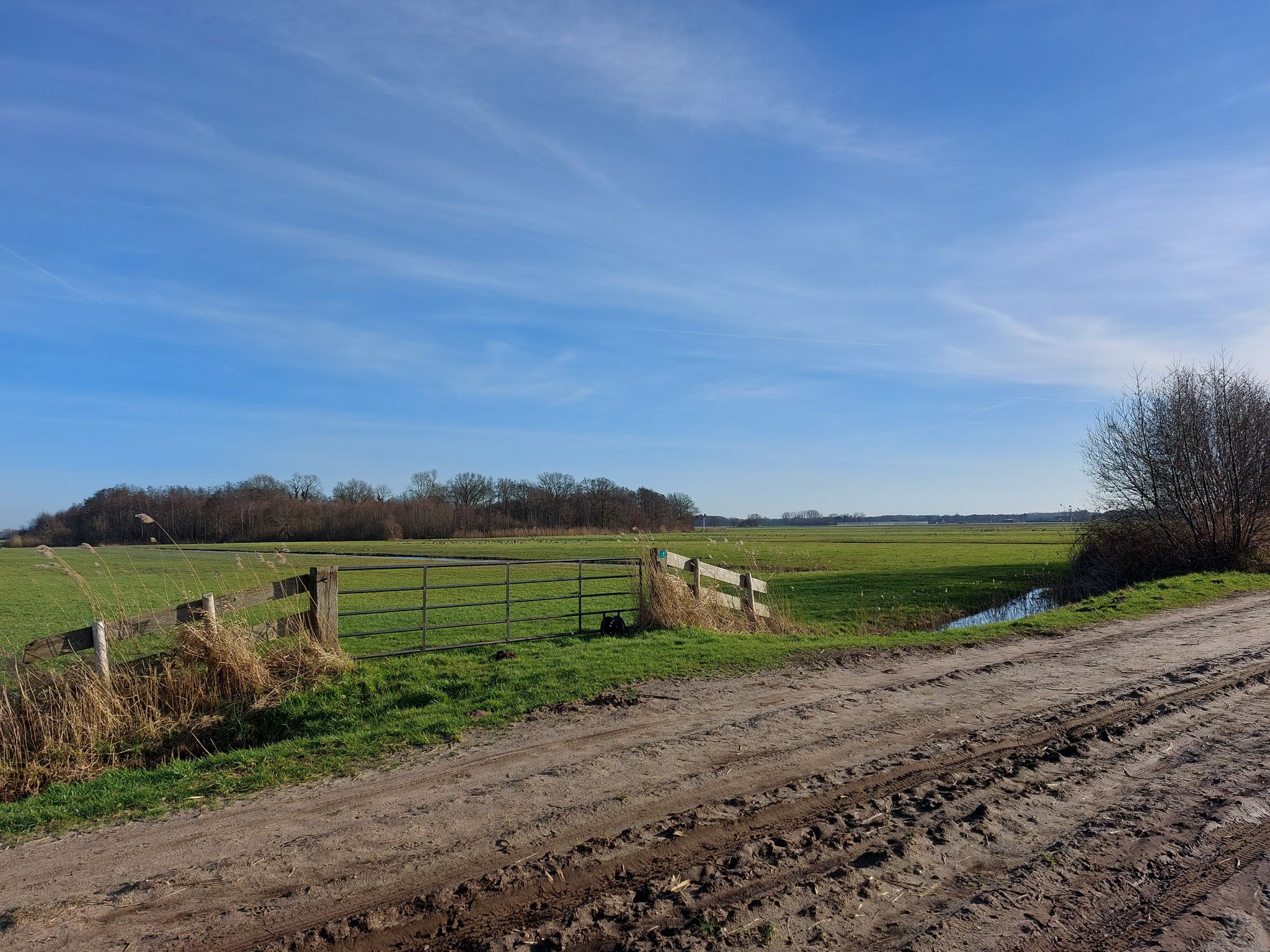 Binnenpolder Terheijden