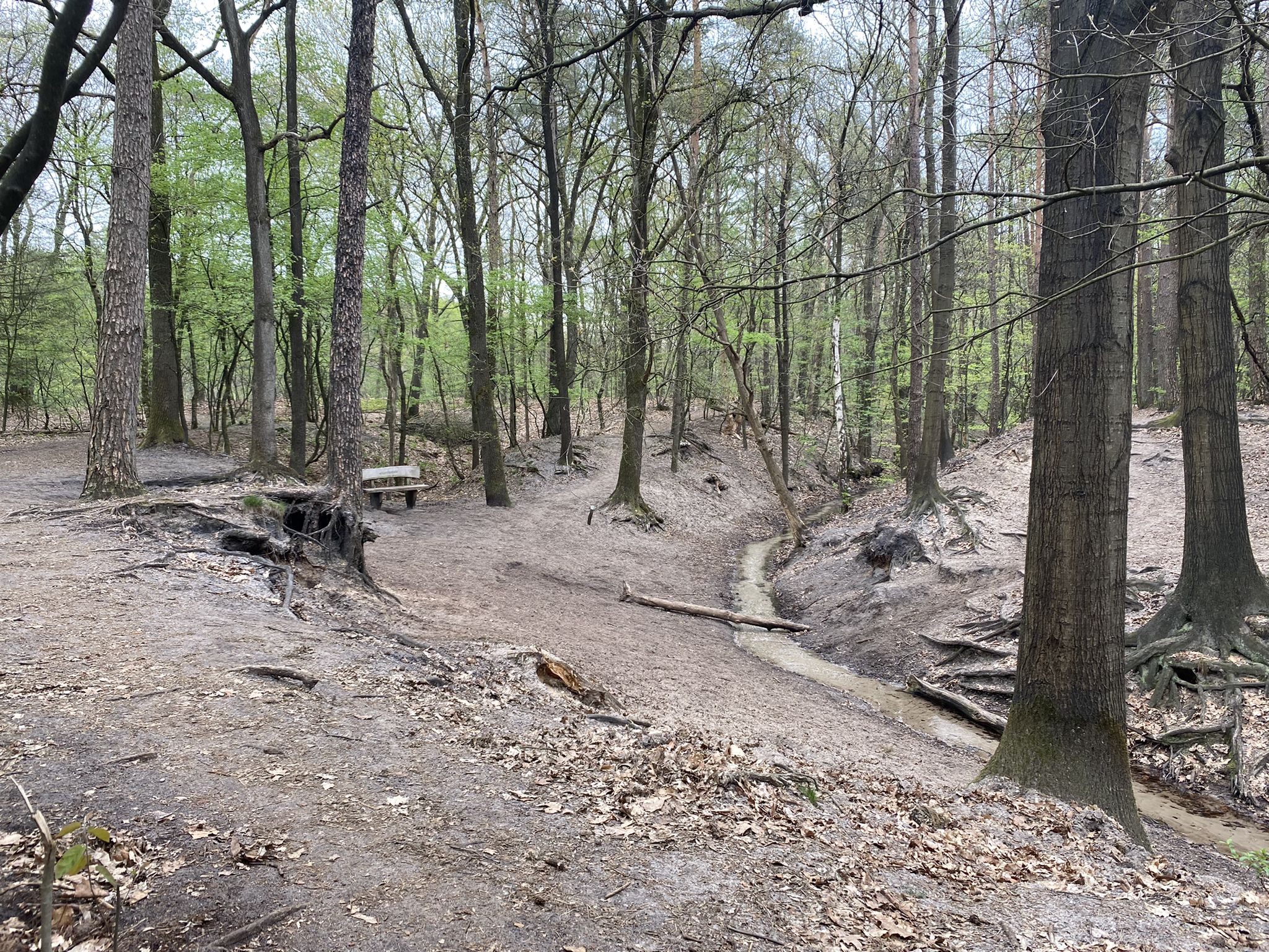 Mooie track langs de beek, pas op voor wandelaars en honden.