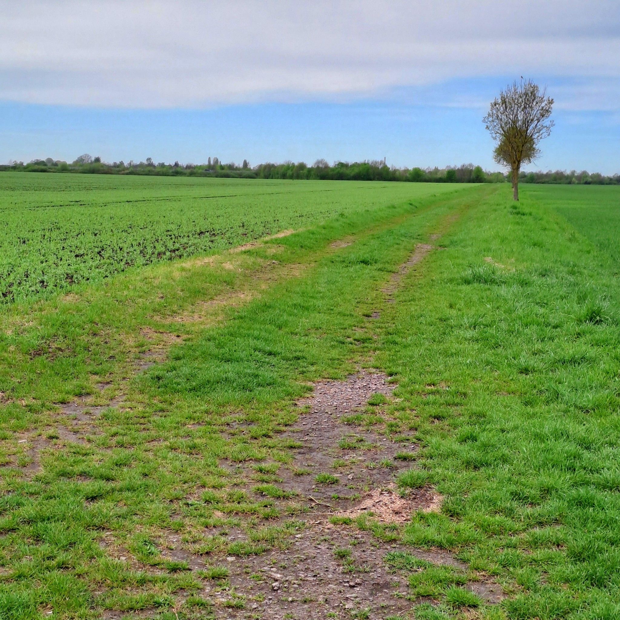 Der Weg nach Tornau