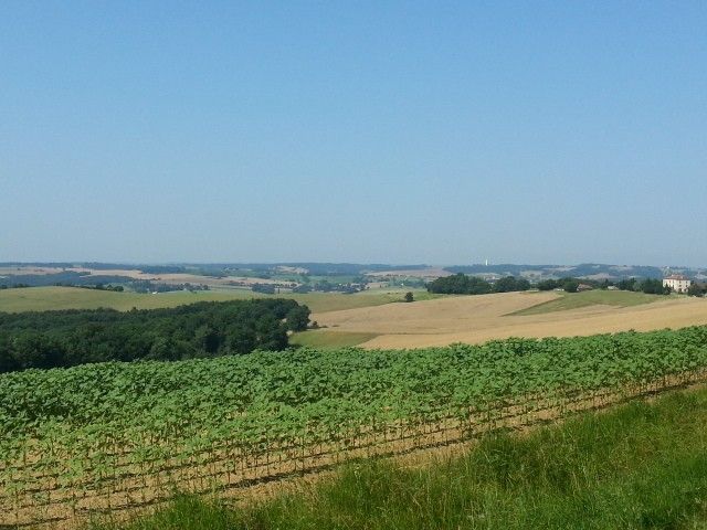 Landschaft in der Nähe von Bazian