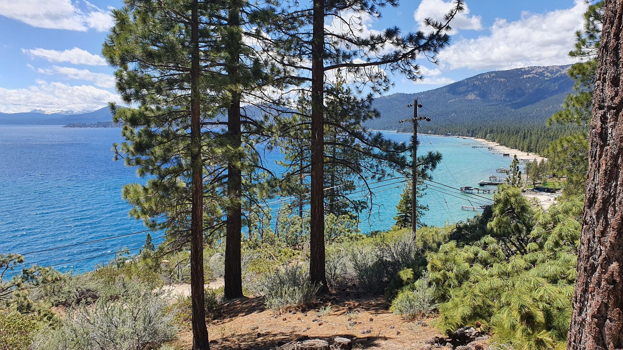 Pine trees frame a view of a bright blue lake with a distant forested shore. - Lake Tahoe view – Tahoe East Shore Trail loop from Incline Village–Crystal Bay