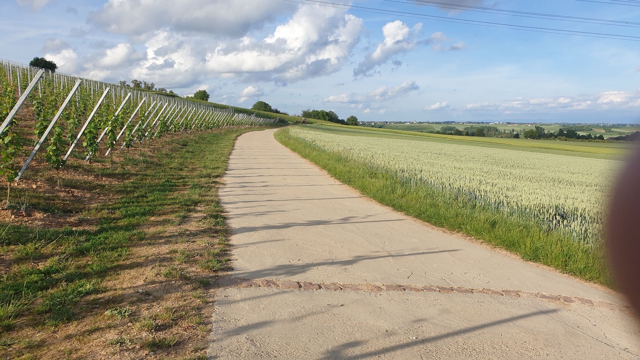 befestigter betonweg