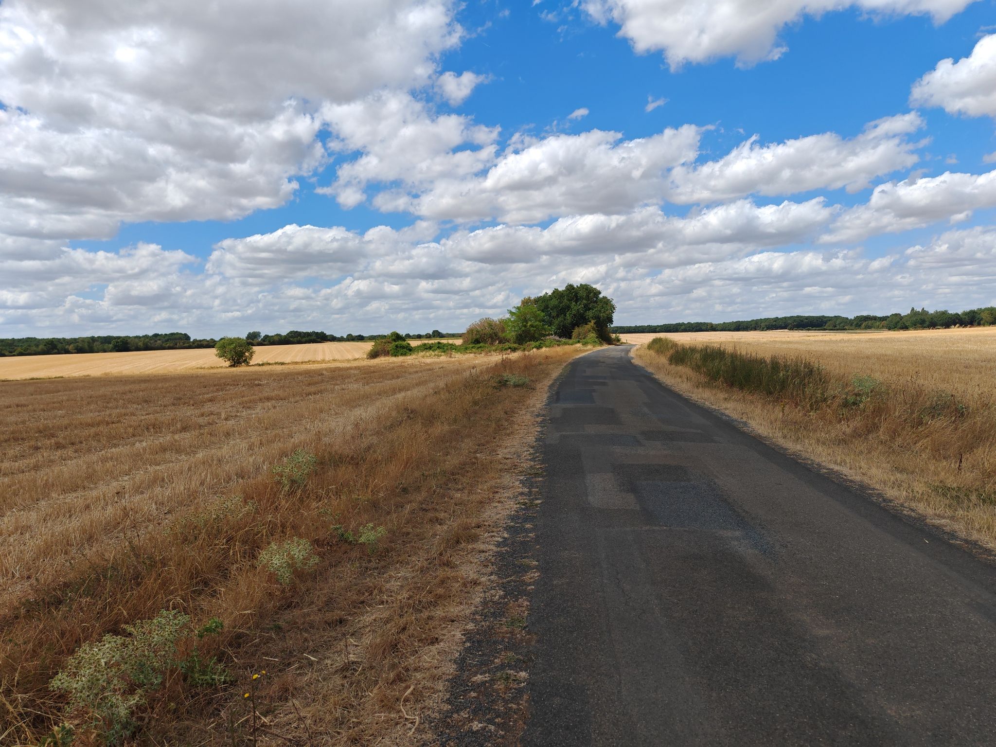 Route au milieu de la campagne 