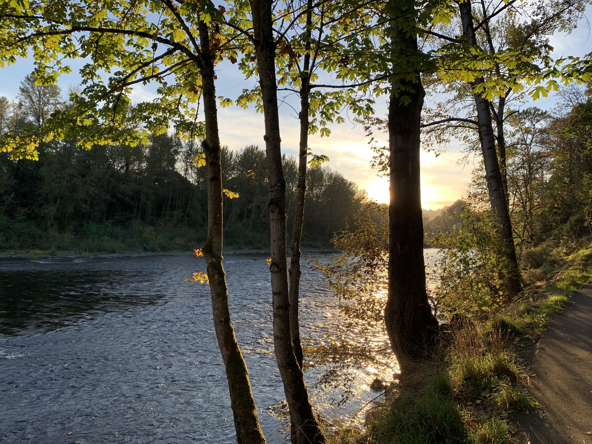 Golden sunset over a river, viewed through silhouetted trees on the bank. - Trolley Trail Loop