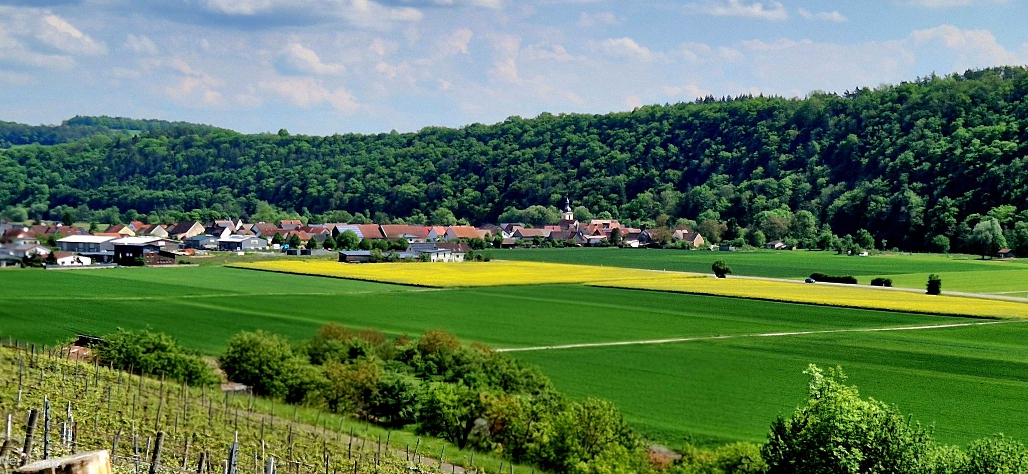 Klepsau