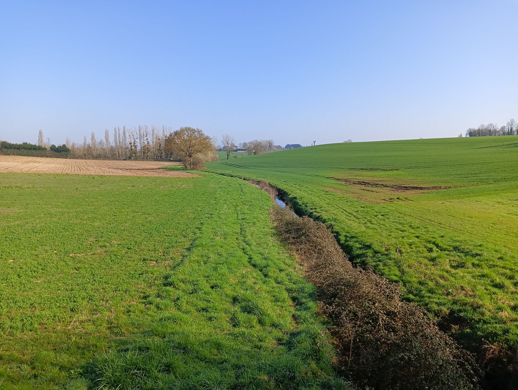 campagne marollaise