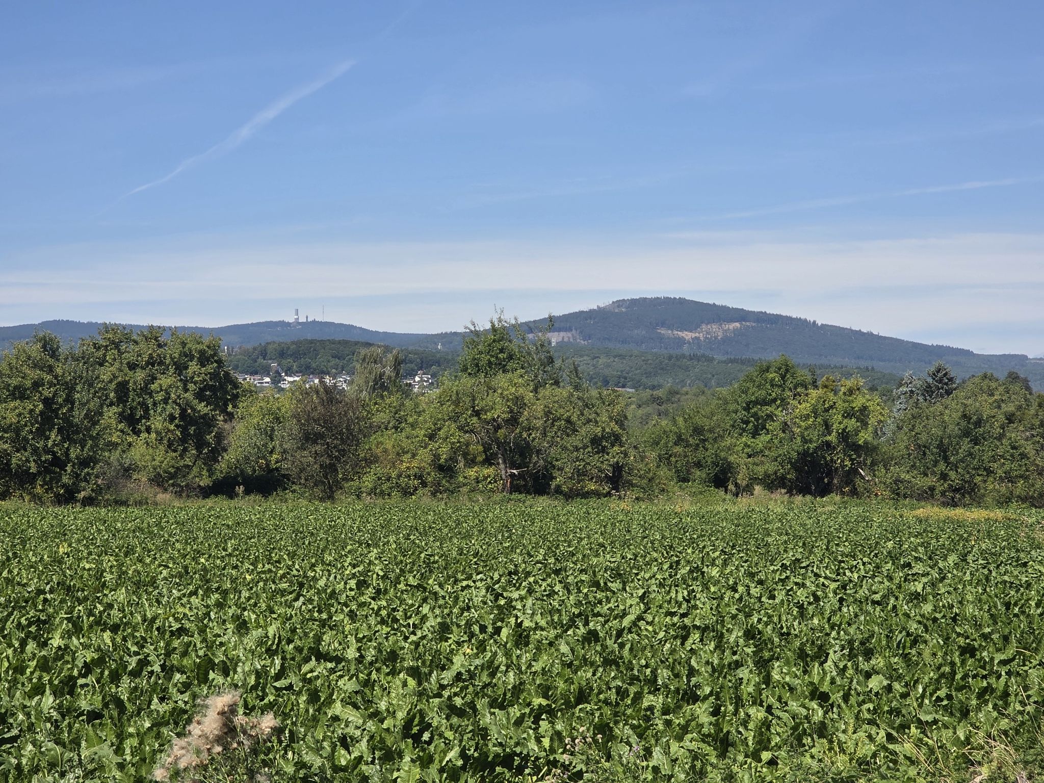 Feldberg, Altkönig