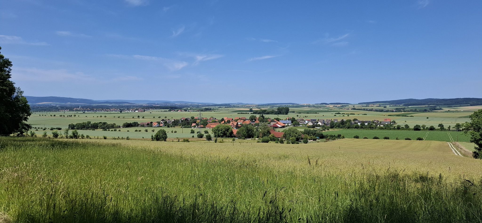 Heinumer Blick