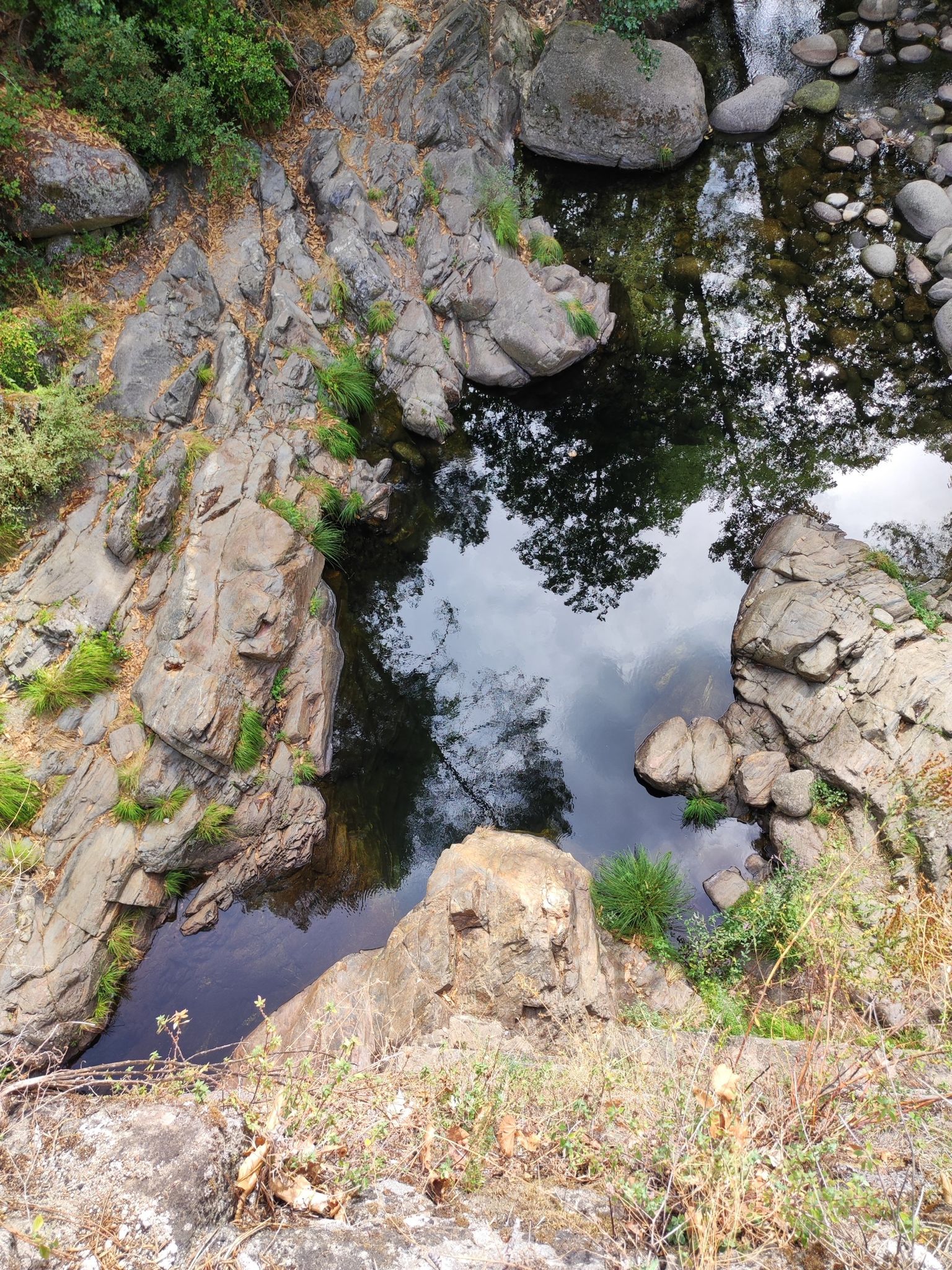 Poza bajo el puente del río Pelayos