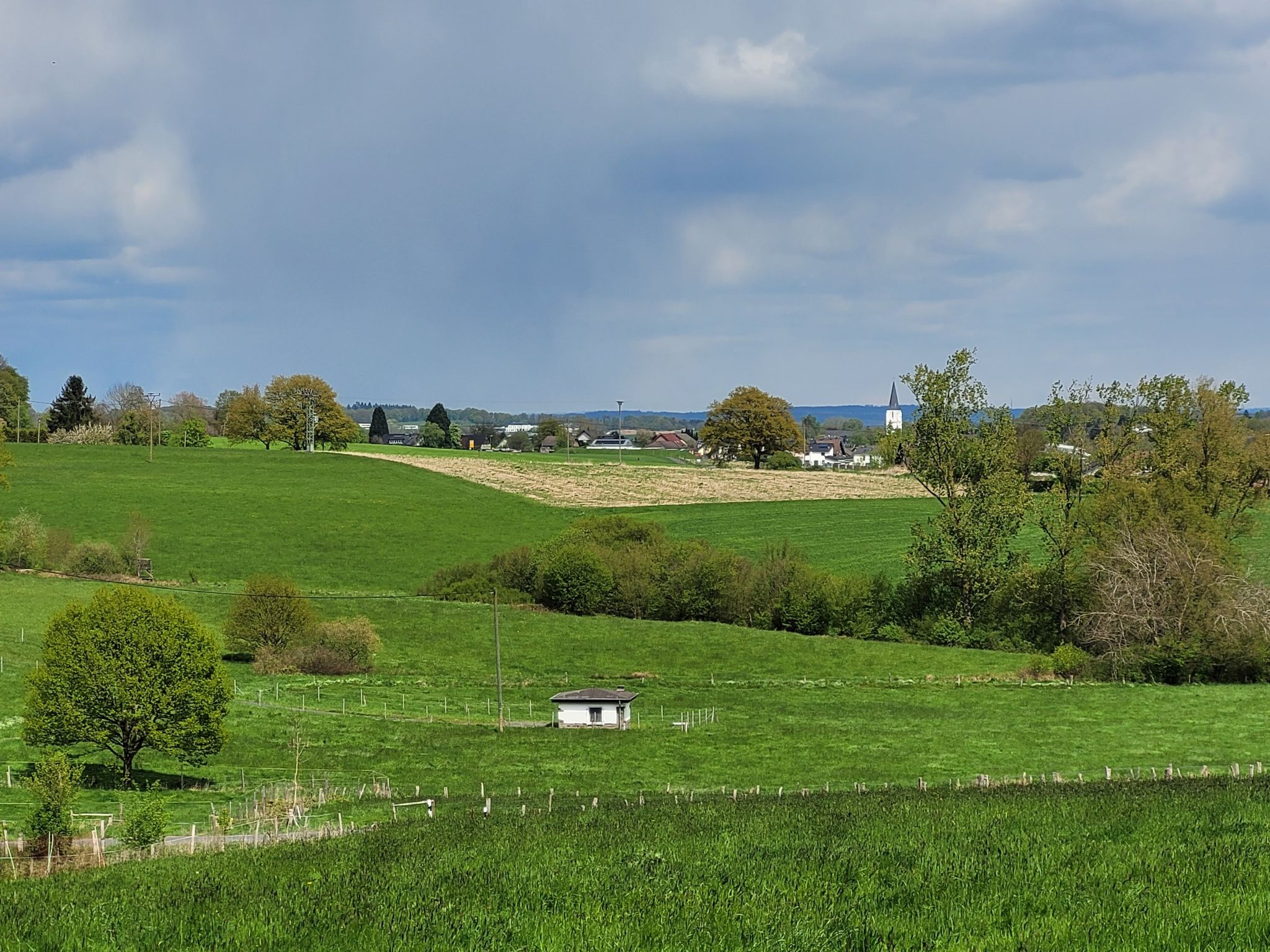 Nochmal Buchholz City