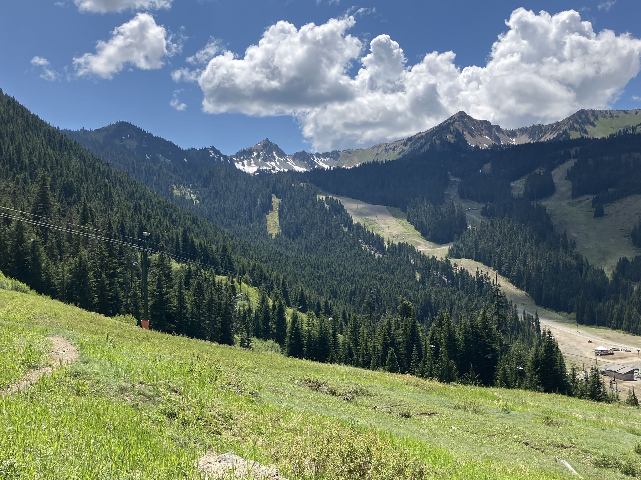 Sunny mountain landscape with green slopes, pine forests, and distant snow-capped peaks. - Blue Bell Loop
