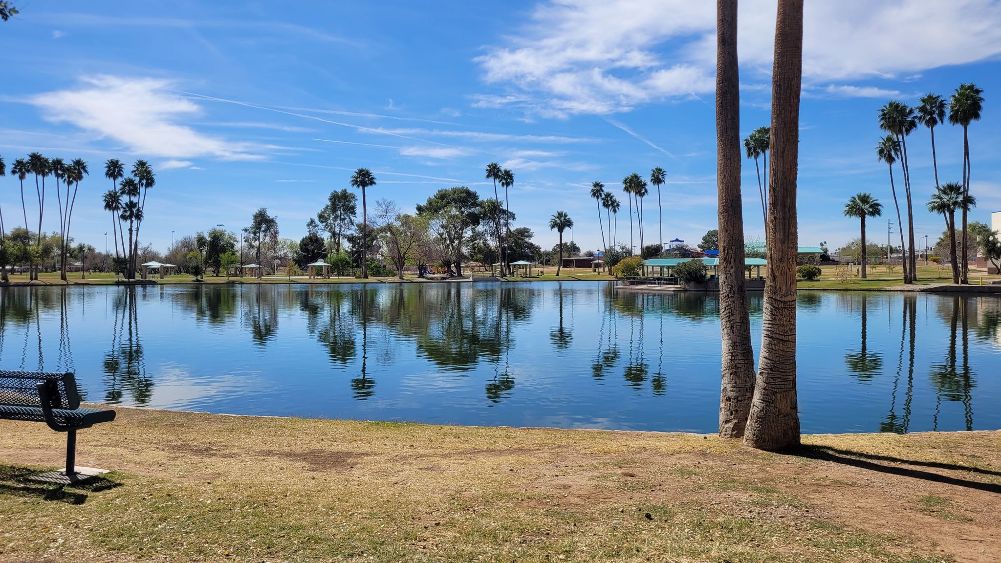 A tranquil lake reflecting numerous palm trees under a bright blue sky. - Indian Bend Wash – Continental Golf Club trail loop from 11392