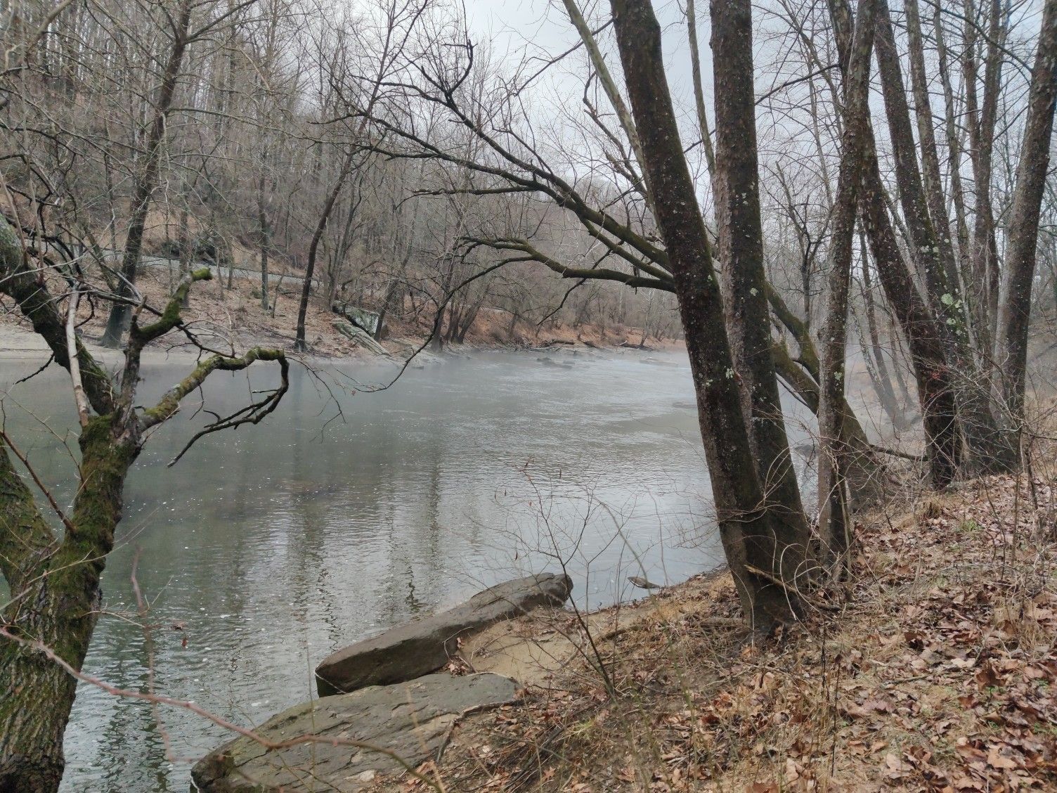 Misty river flowing through a bare winter forest under an overcast sky. - Views of Patapsco River – Daniels Dam Viewpoint loop from Patapsco Valley State Park