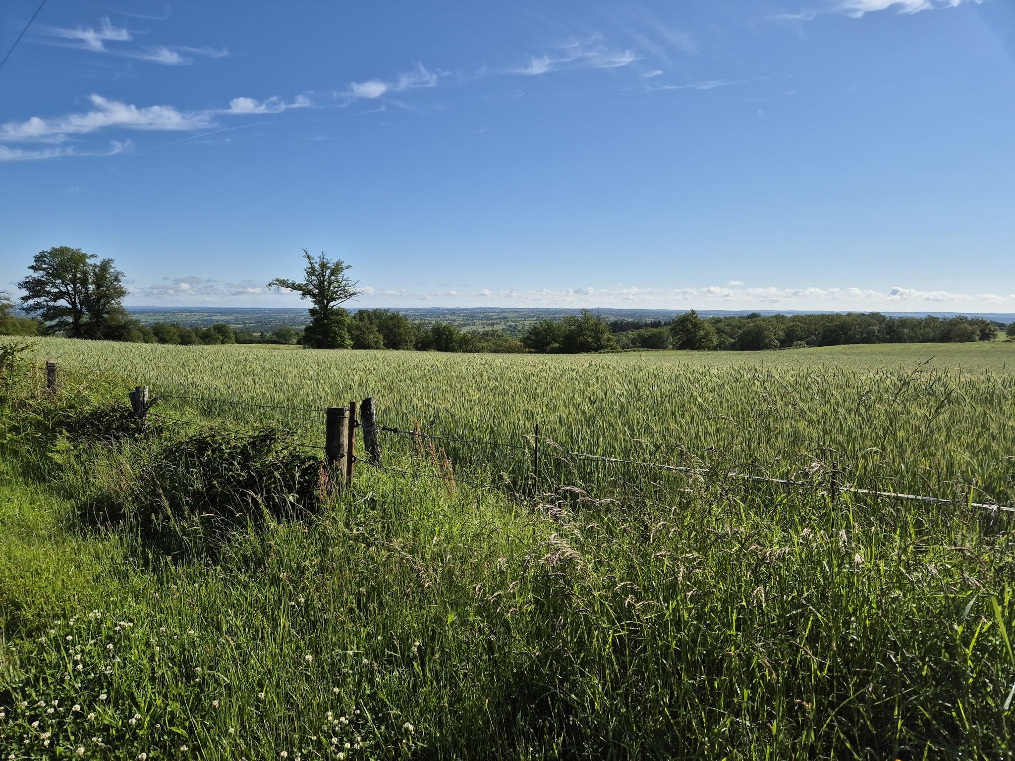 près de Beaune d’alier