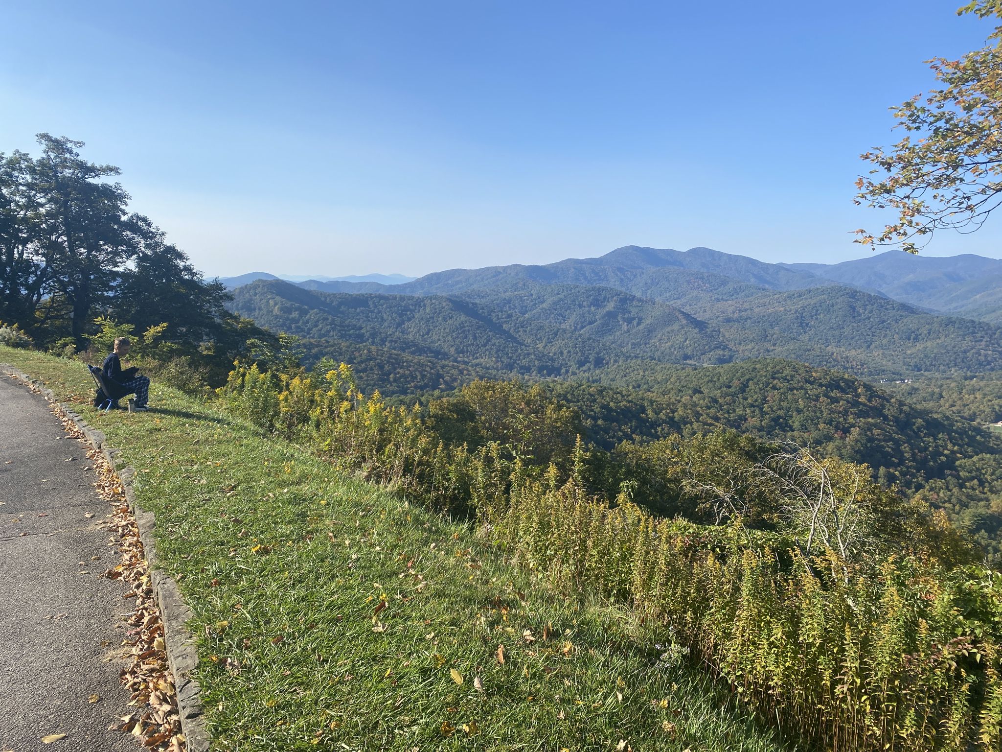 A person and dog sit by a road overlooking vast forested mountains. - Mountains to Sea Bicycle Route: Blue Ridge Parkway