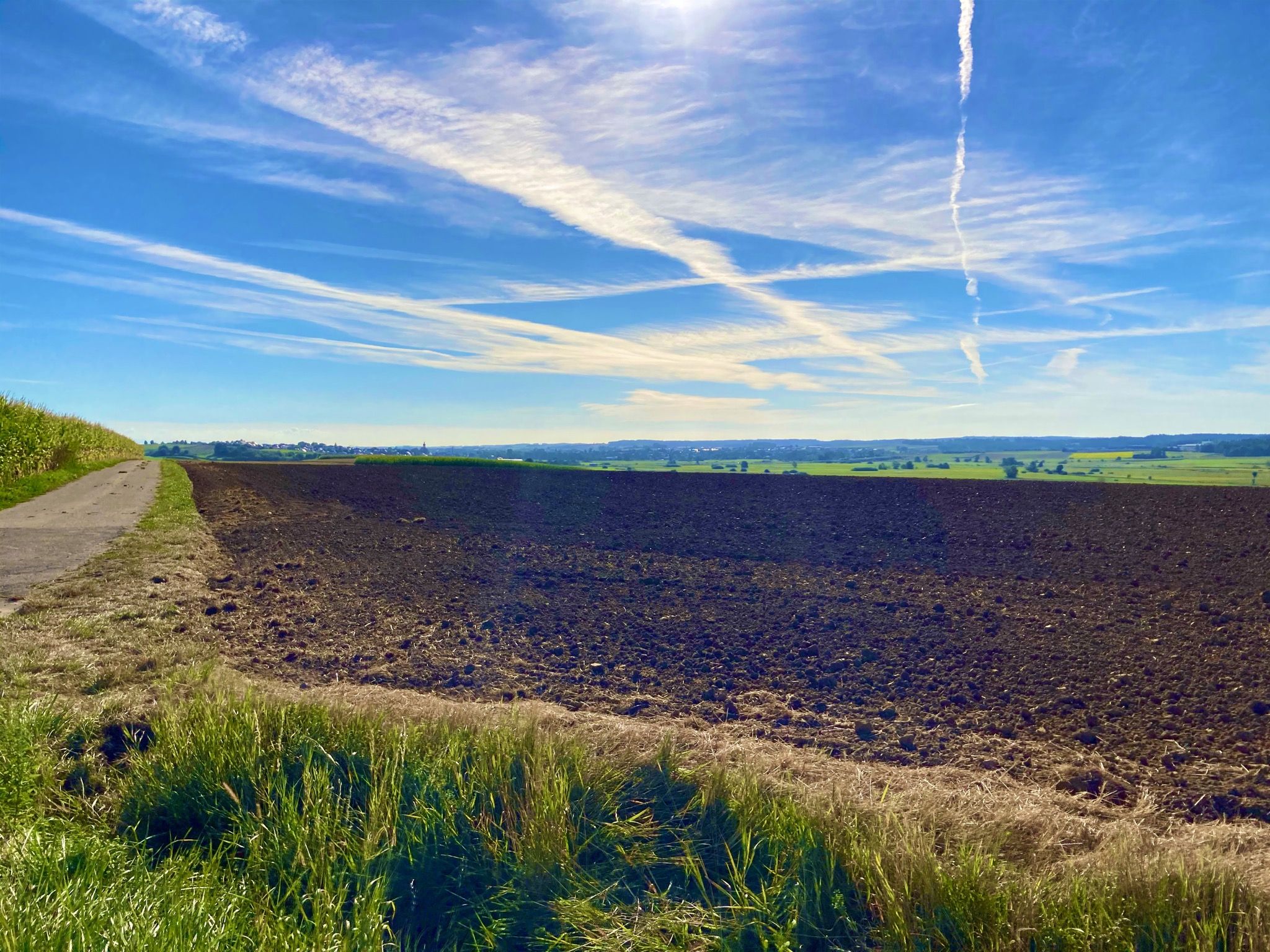 Ausblick auf Schierling