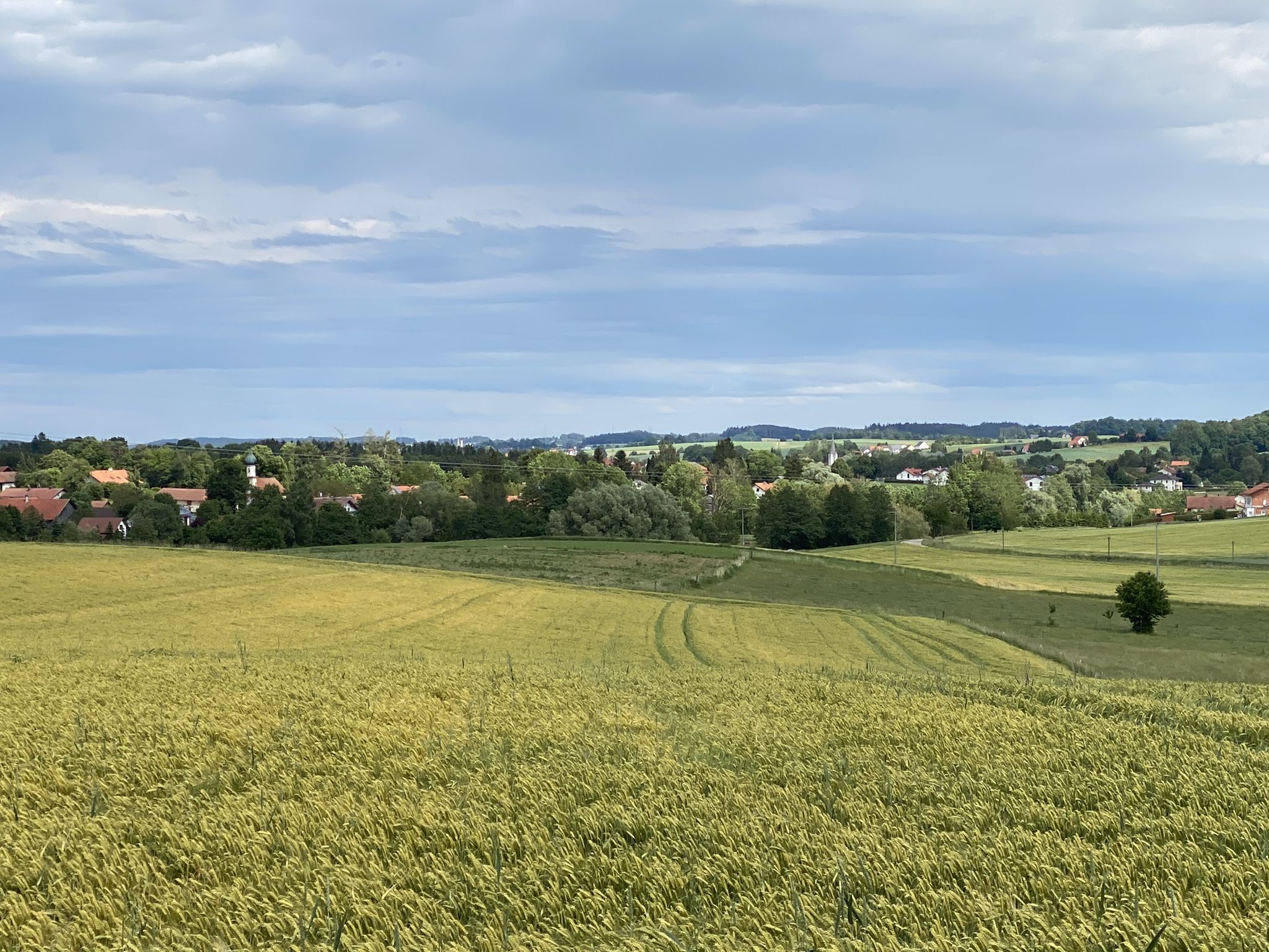 Blick über Kemoden ins Vilstal