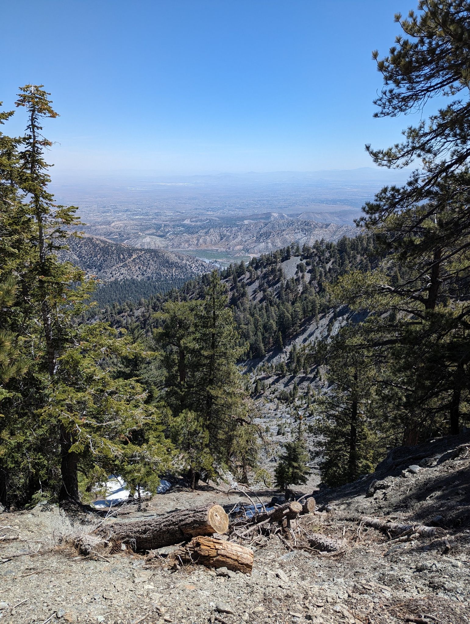 Panoramic view of a forested valley and distant plains from a mountain. - Wright Mountain via Guffy Spring