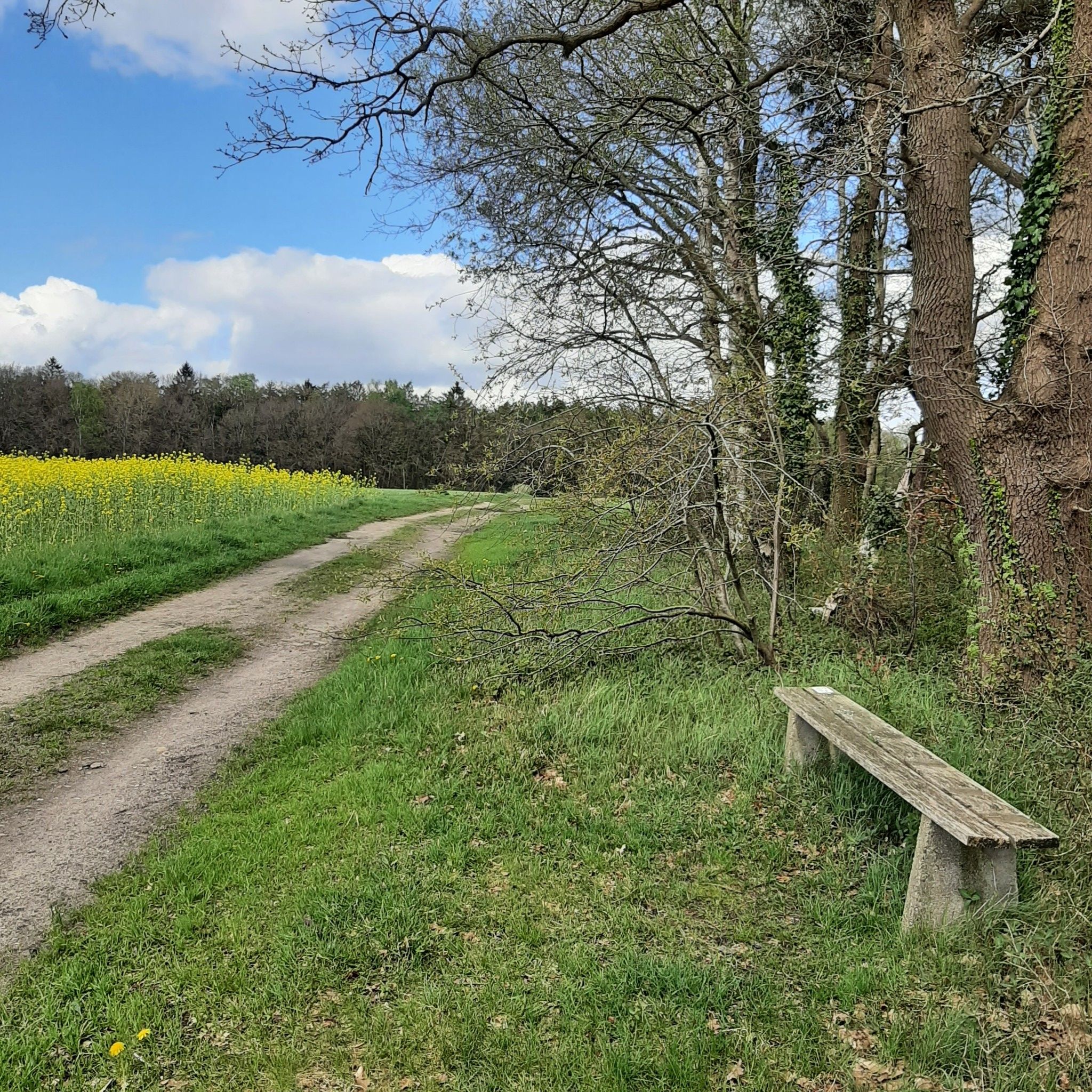 Kleine Pausenbank mit Blick nach Meyenburg.