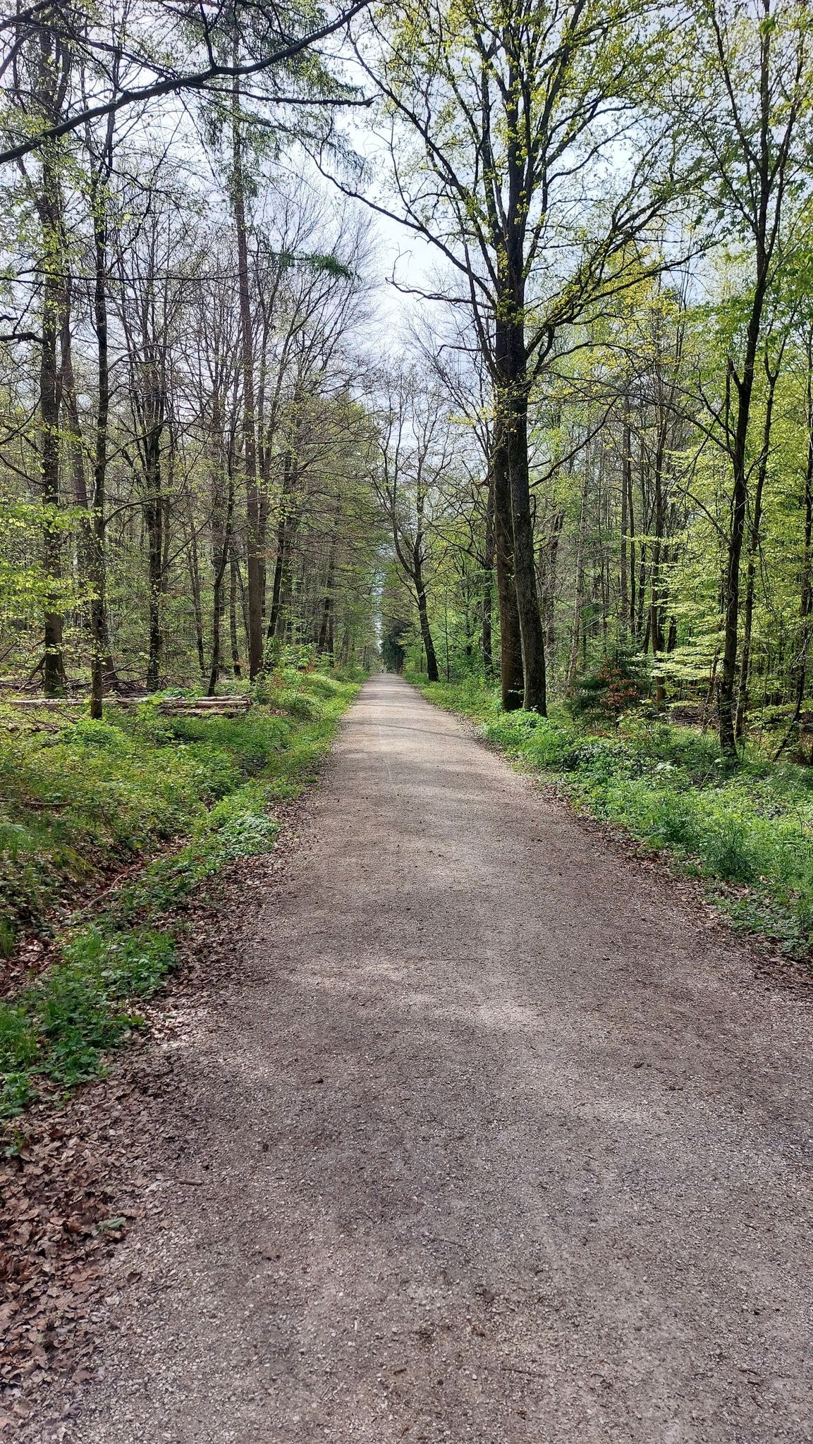 gleich zuhause