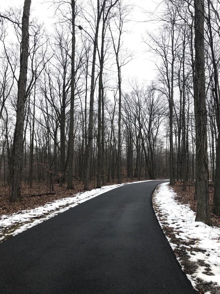 Paved path winding through a bare winter forest with snow on the ground. - Dublin Parks loop