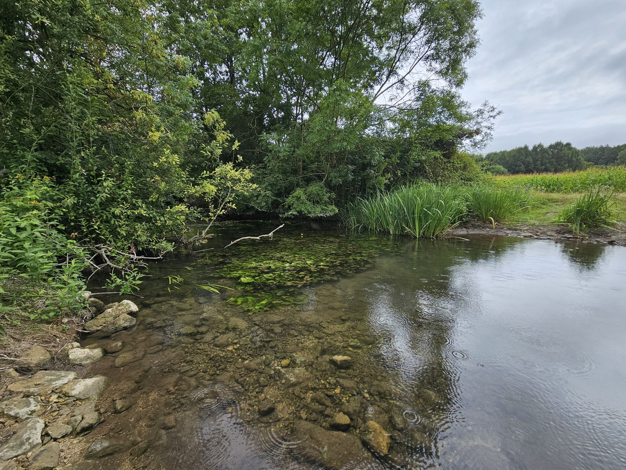 la Boutonne