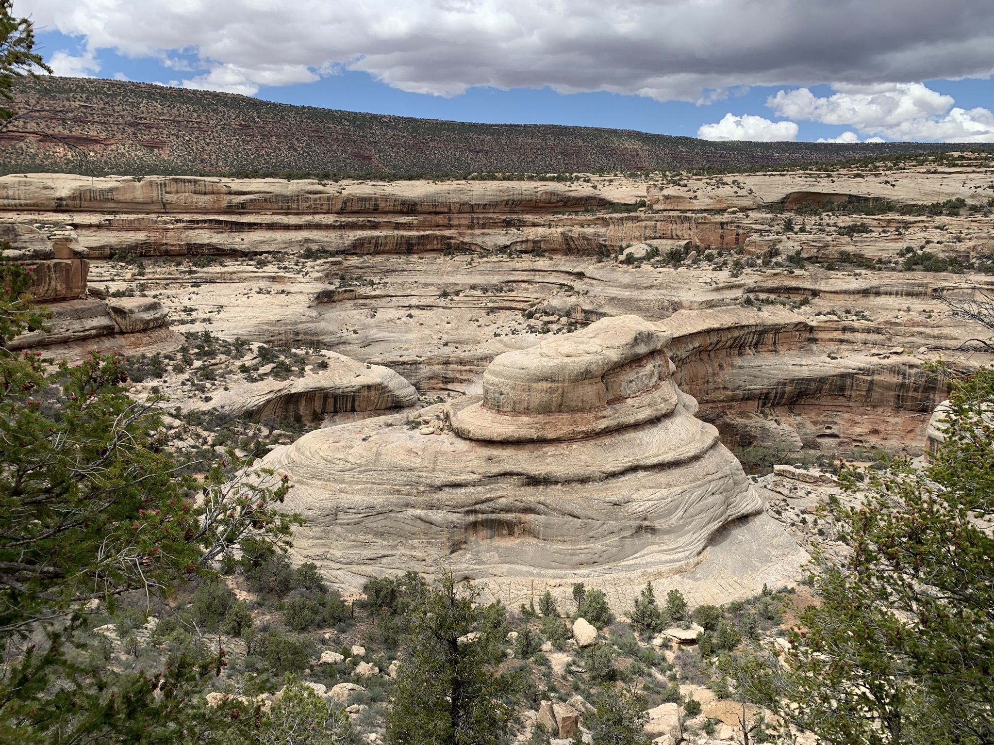 Expansive rocky canyon with layered formations and sparse vegetation under cloudy sky. - Sipapu Bridge Trail
