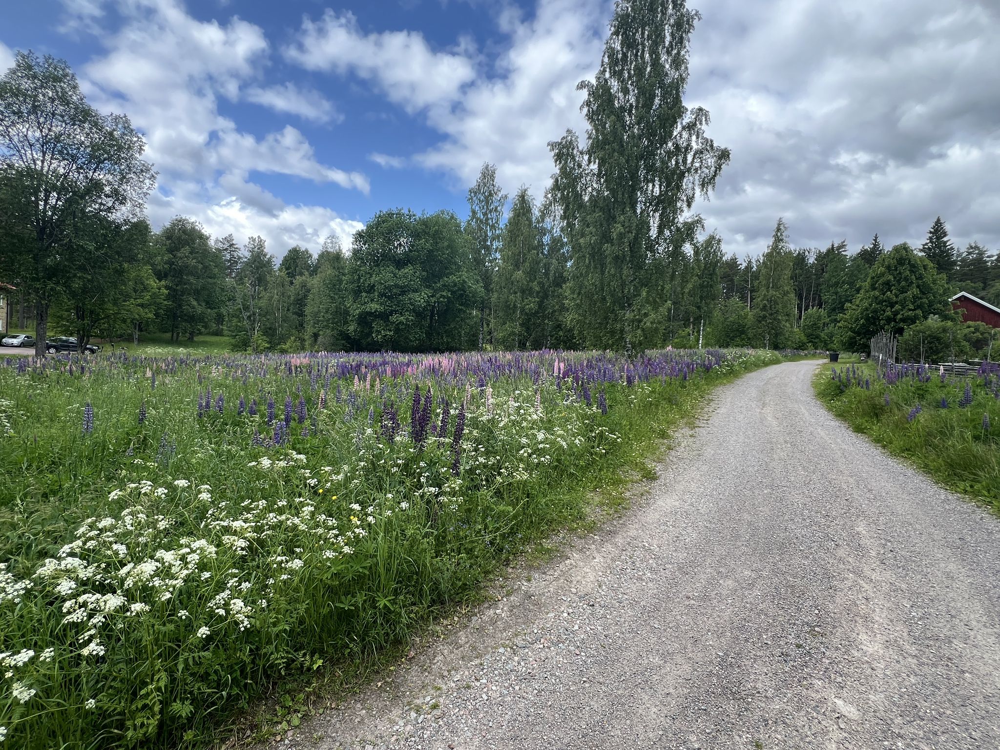 durch den Wald geht es zum Ziel