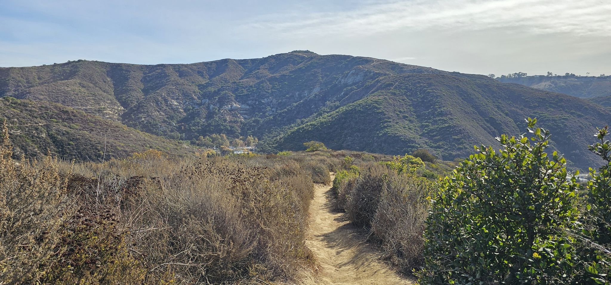 A dirt path through dry brush leads towards green mountains under a bright sky. - VW Drop – Old Emerald Trail loop from Bommer Canyon Open Space Preserve