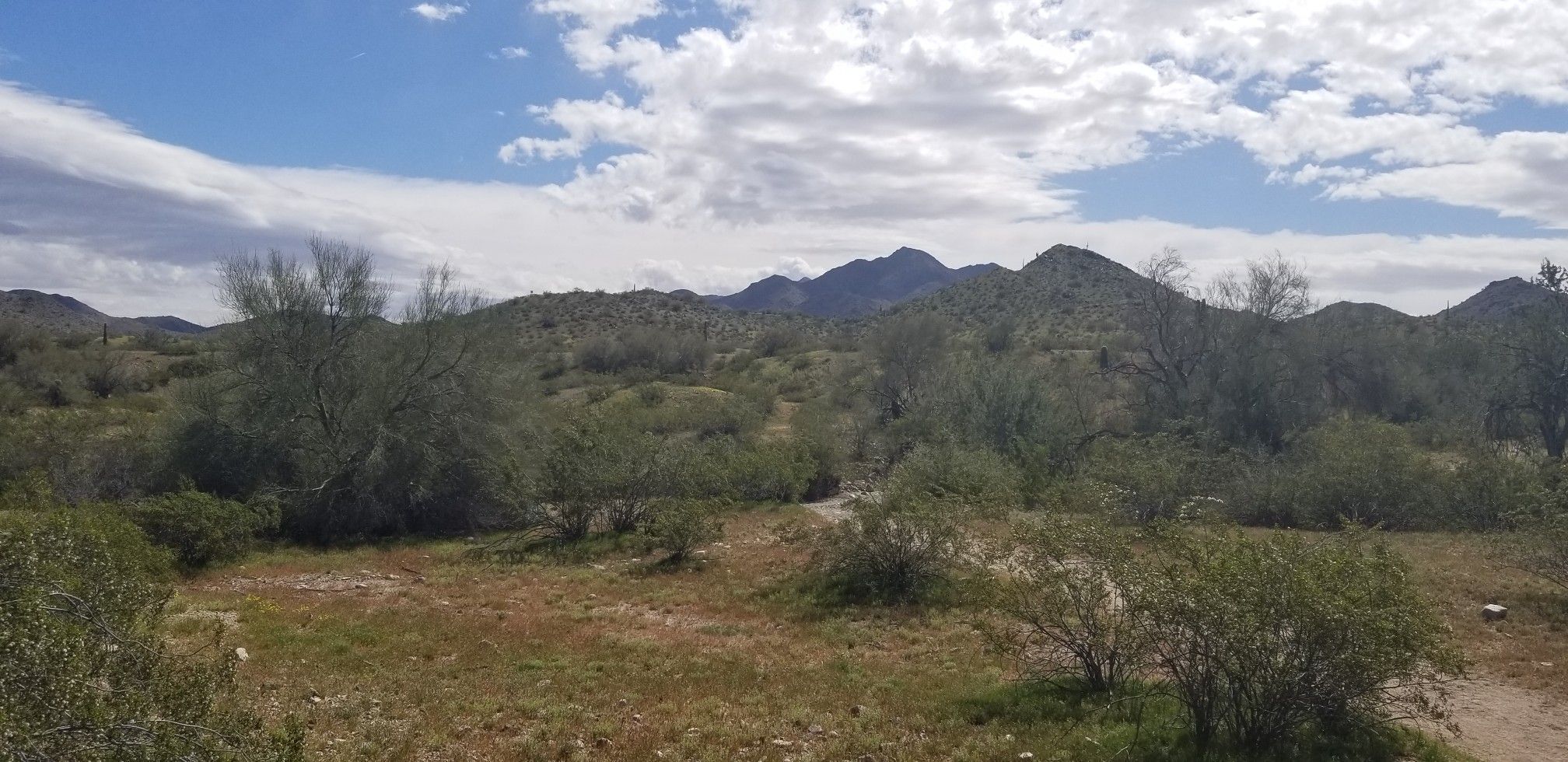 Desert landscape with green bushes, distant mountains, and a partly cloudy sky. - Estrella Mountain Competitive Track Loop