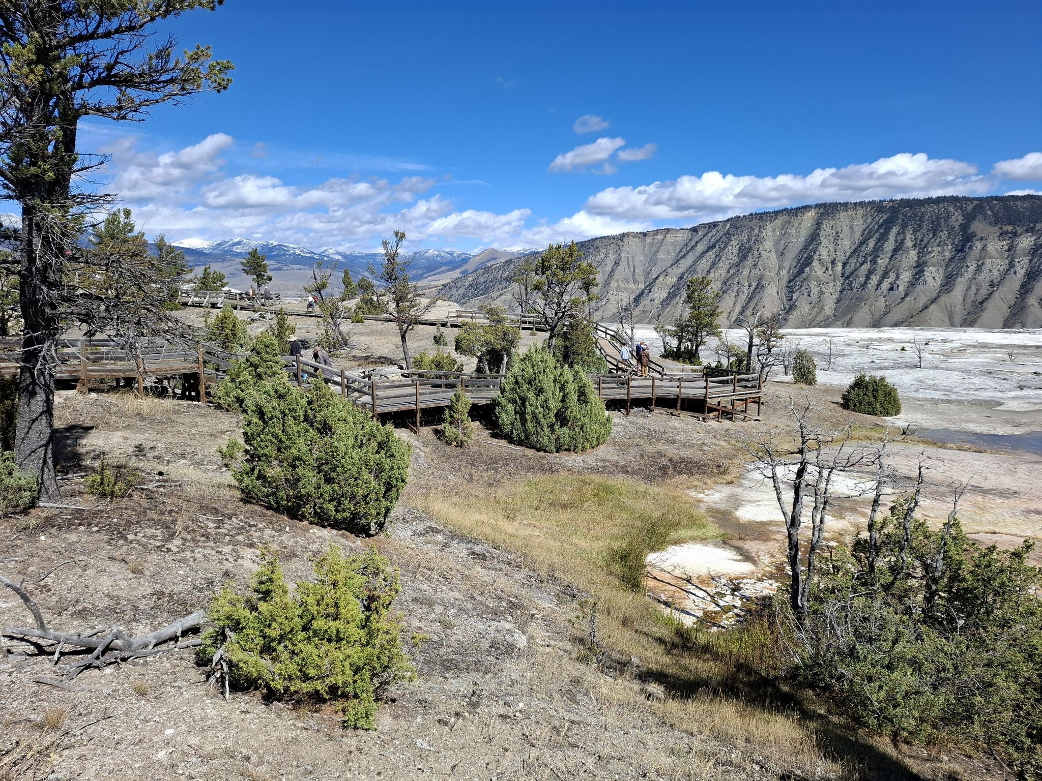 Wooden boardwalks wind through a dry landscape with distant mountains under a blue sky. - Mammoth Hot Springs Terraces – Mammoth Hot Springs Terraces loop from Mammoth Hot Springs Terraces
