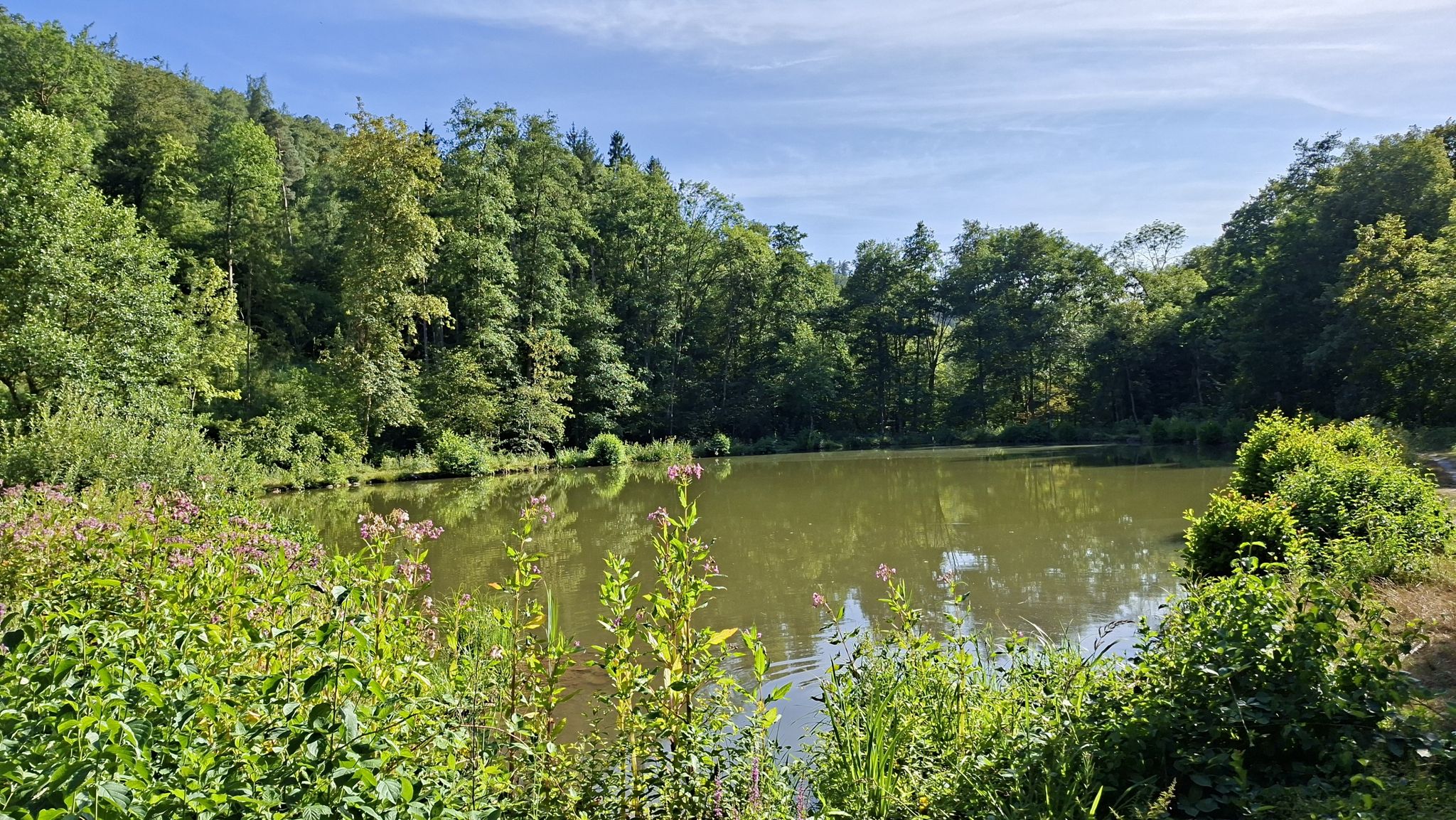 Waldsee im Seebachtal 