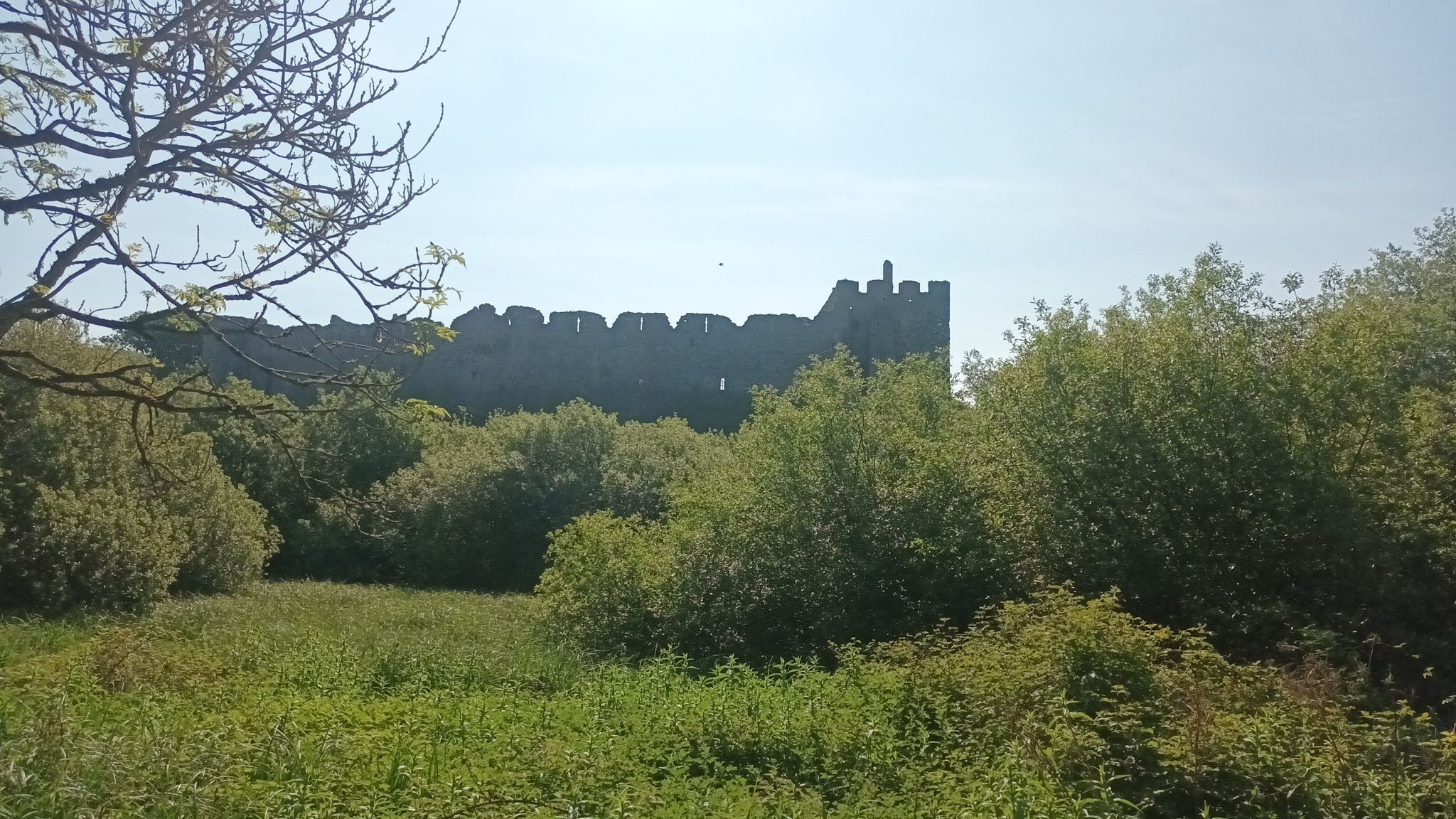 .Manorbier Castle