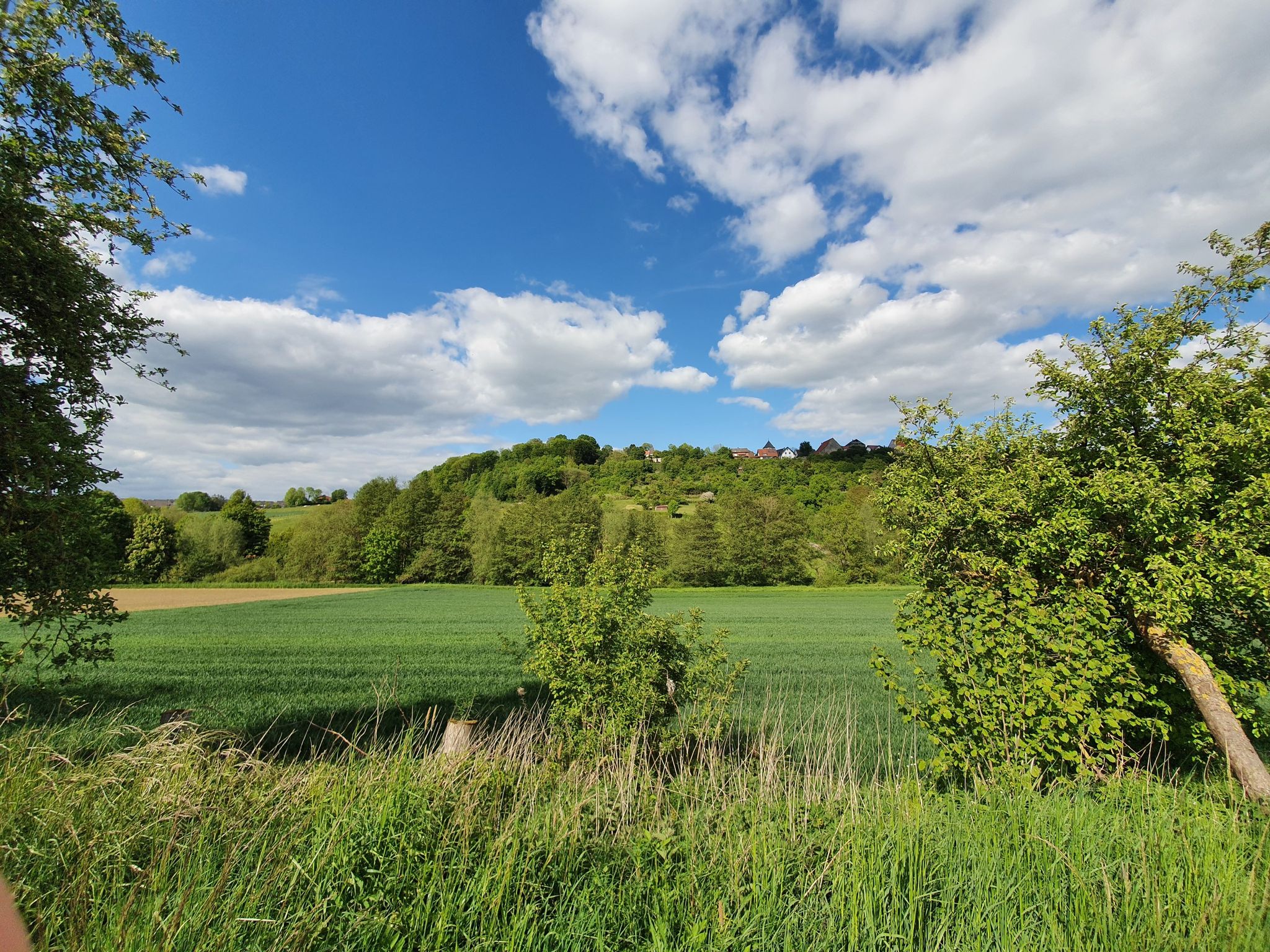 Blick auf Dringenberg
