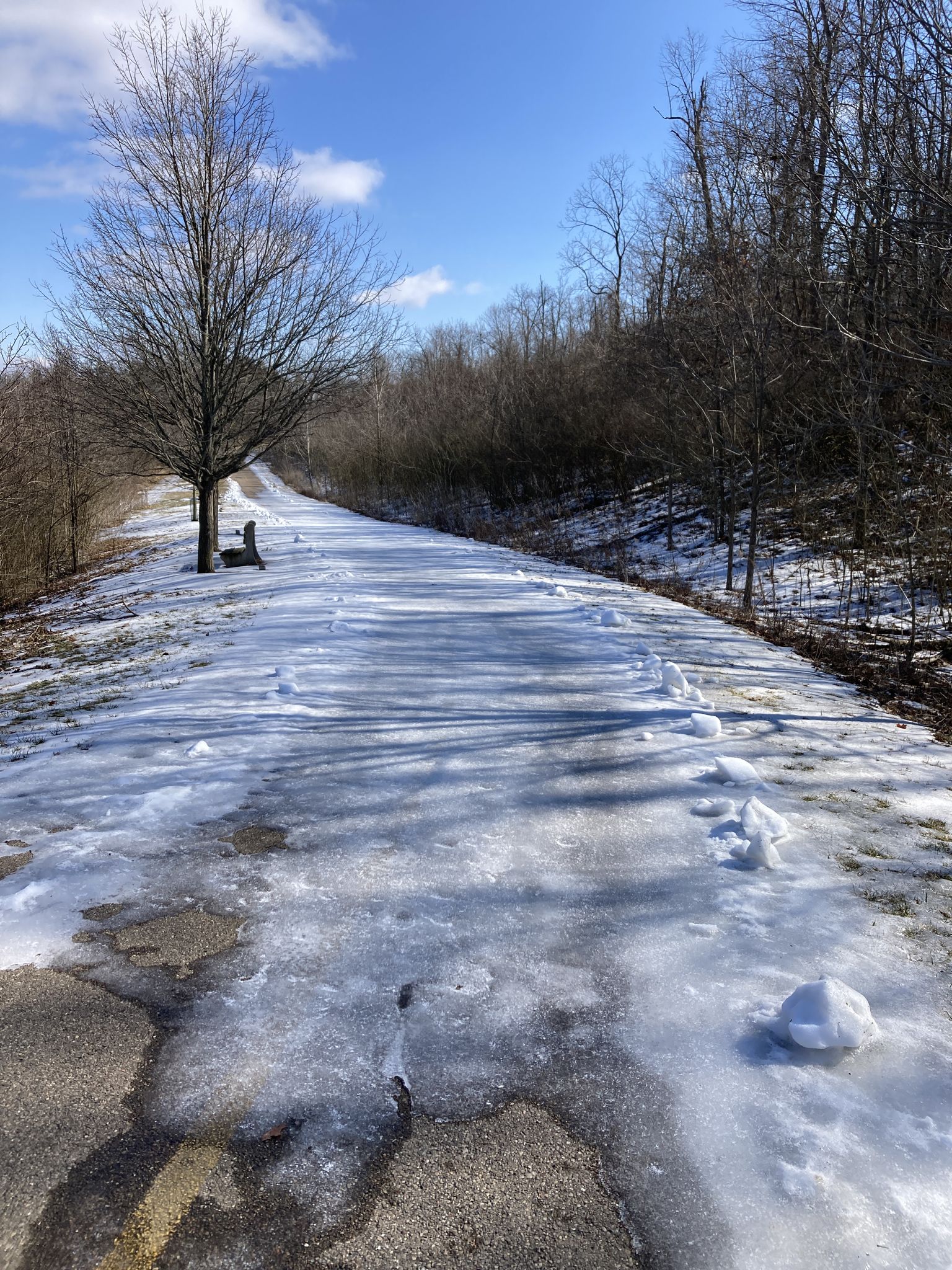 Icy, snowy path winding through bare trees on a sunny winter day. - West Fork Mill Creek Bridge – Lookout Tower loop from Glendale