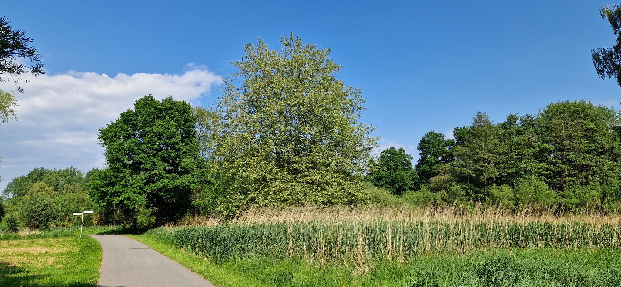 Moorwischpark