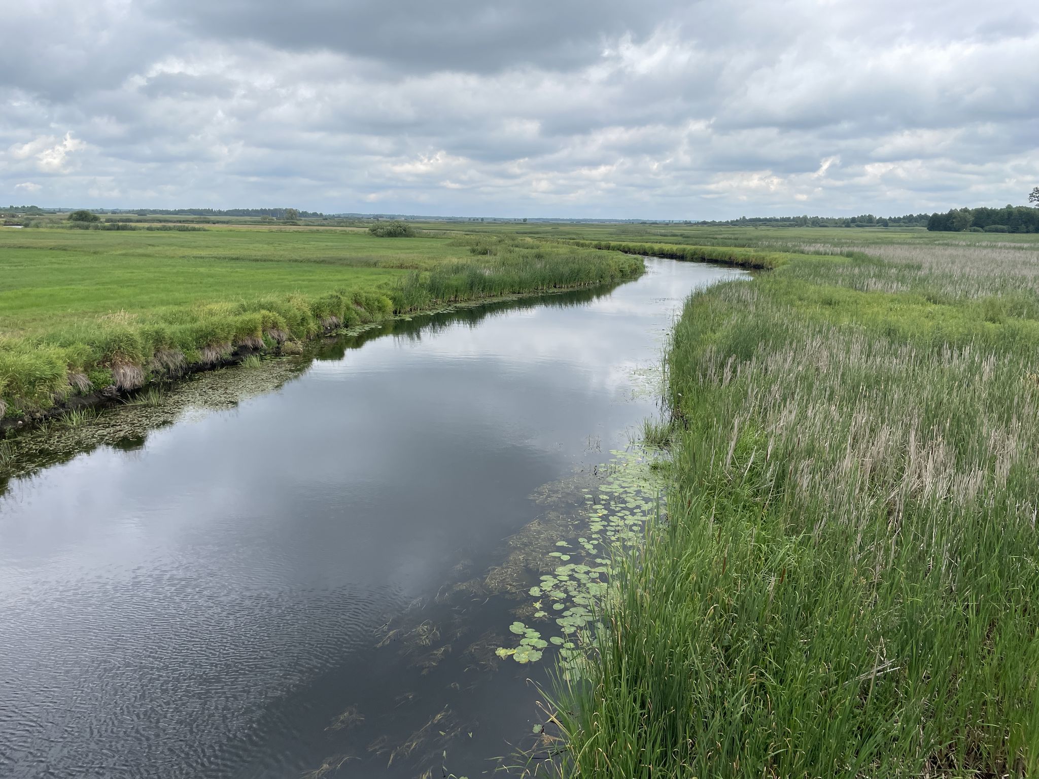 Die Biebrza