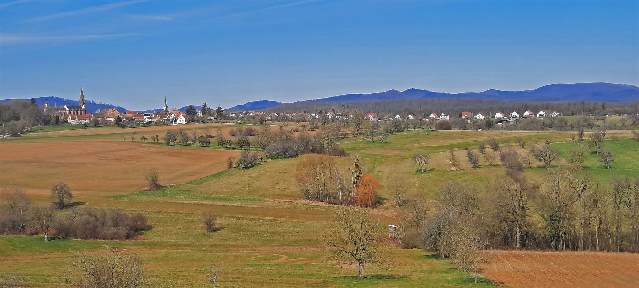 Blick von Elsasshausen über das Schlachtfeld auf Froeschwiller
