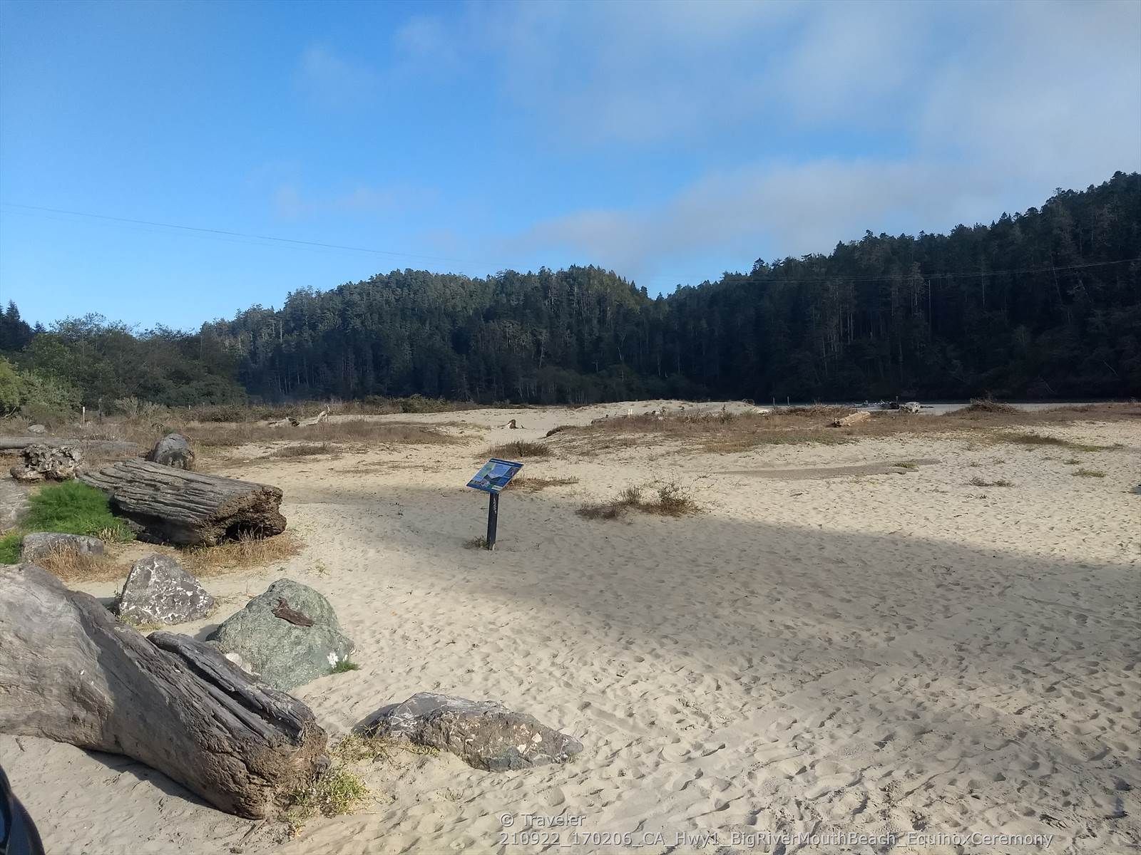 Sunny sandy expanse with driftwood, a sign, and distant forest. - Big River Haul Road