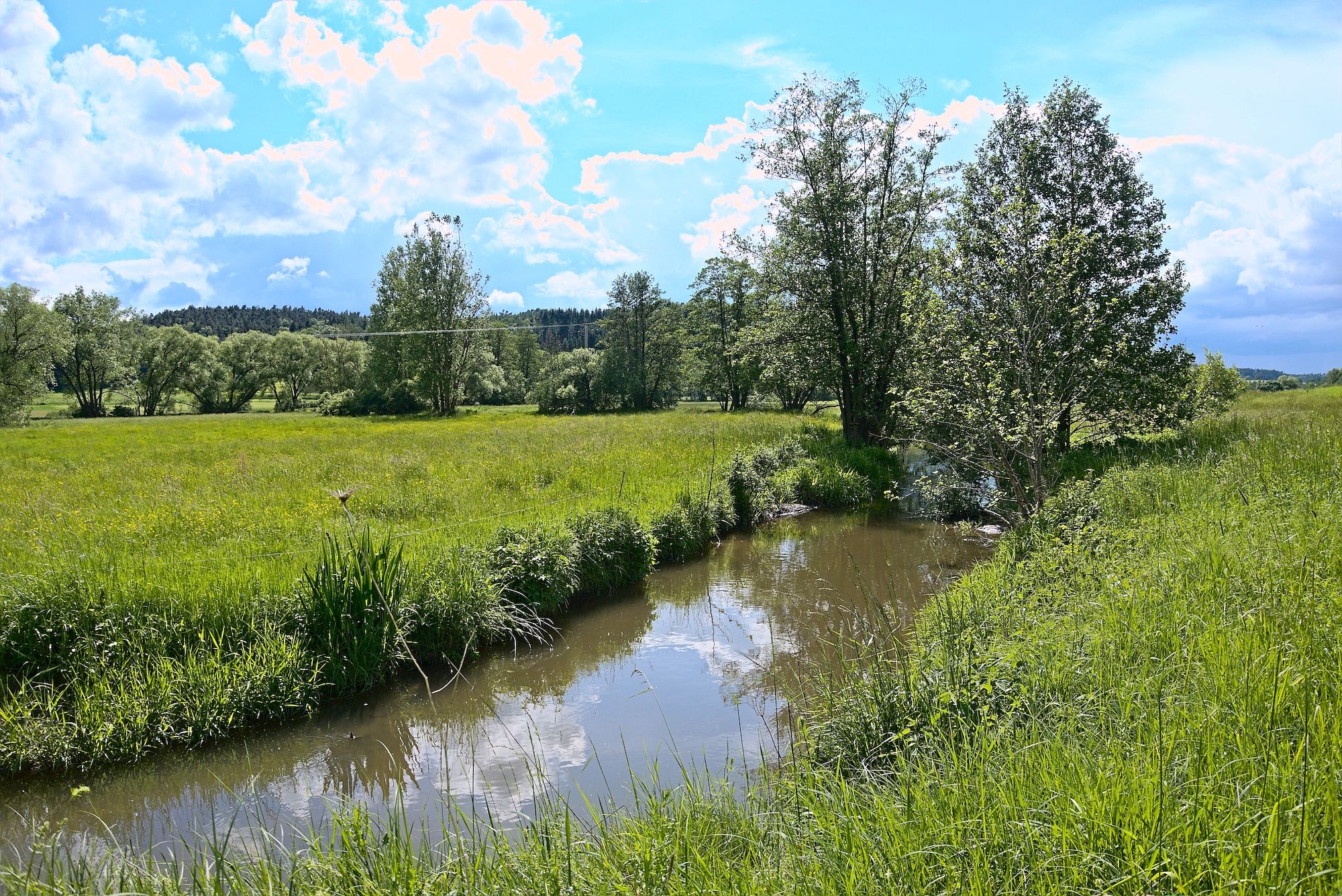 Heimwärts entlang der Rauhen Ebrach