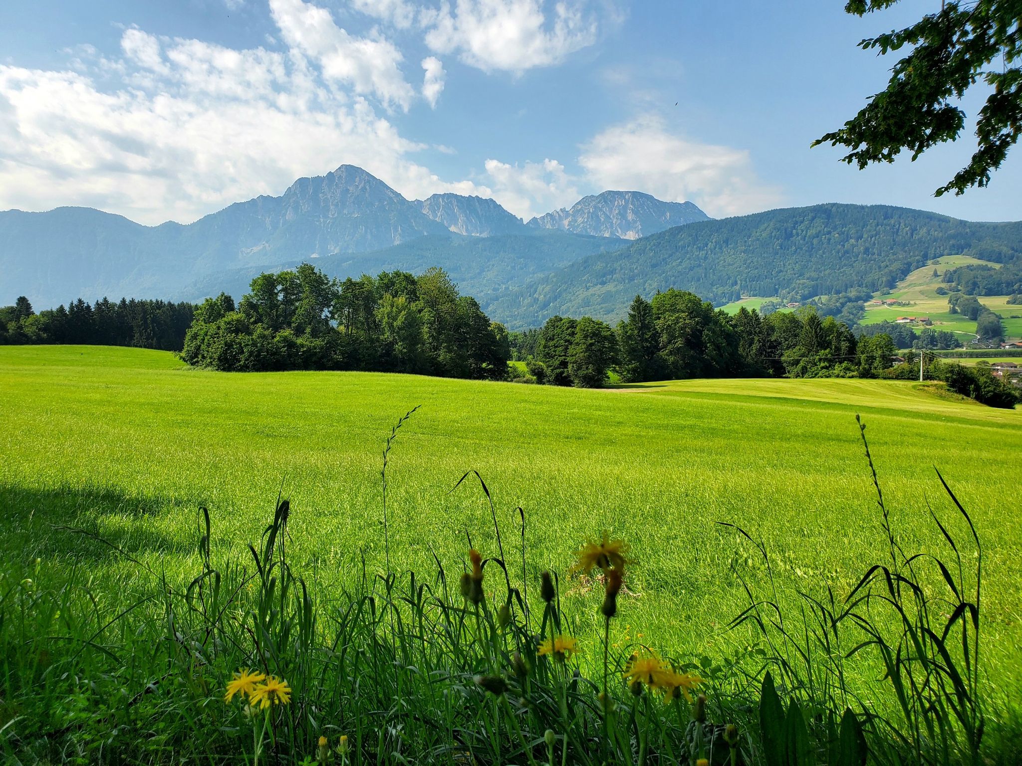 Staufen-Zwiesel-Blick 👍
