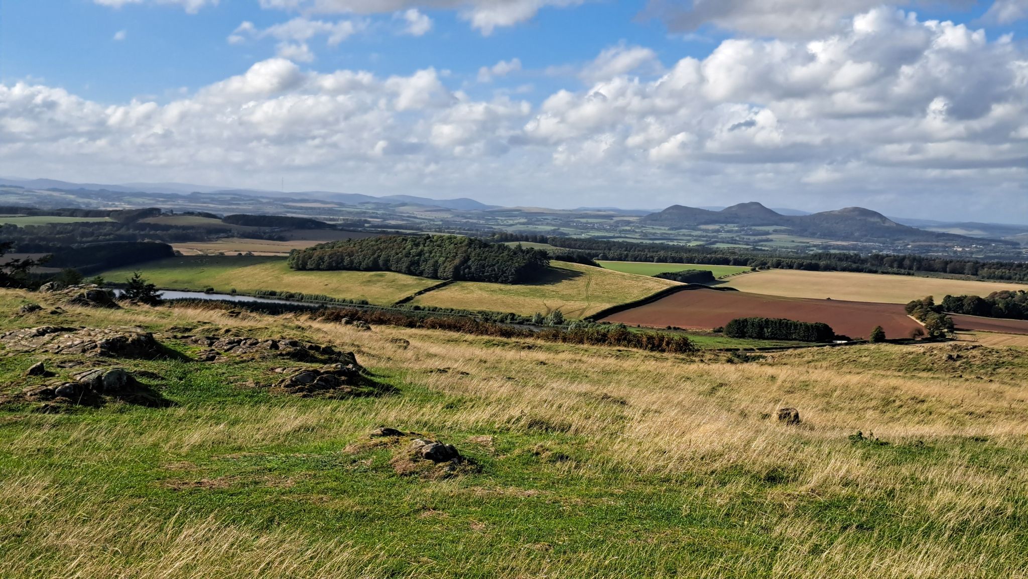 3 Blackhills