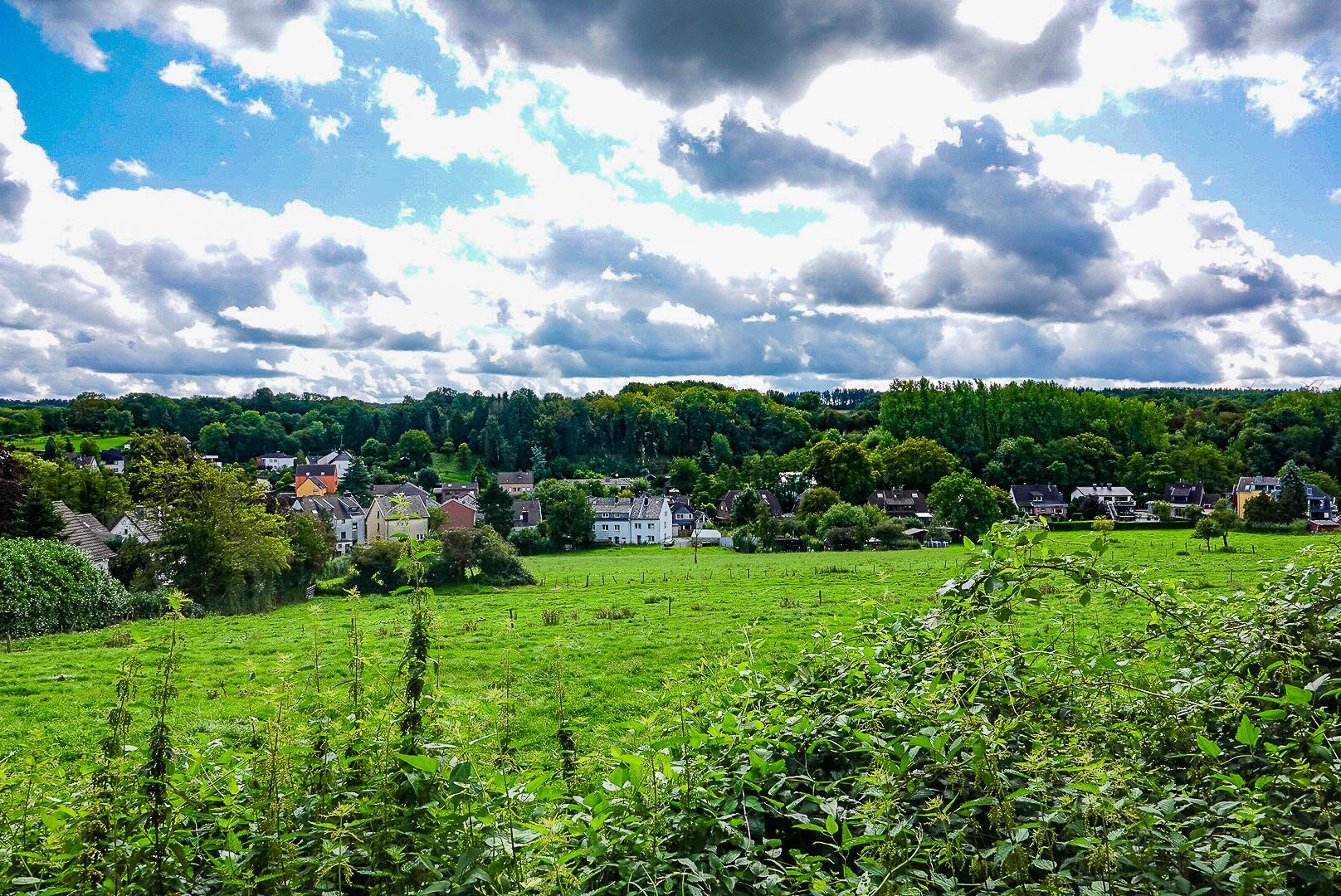 Blick auf Hahn