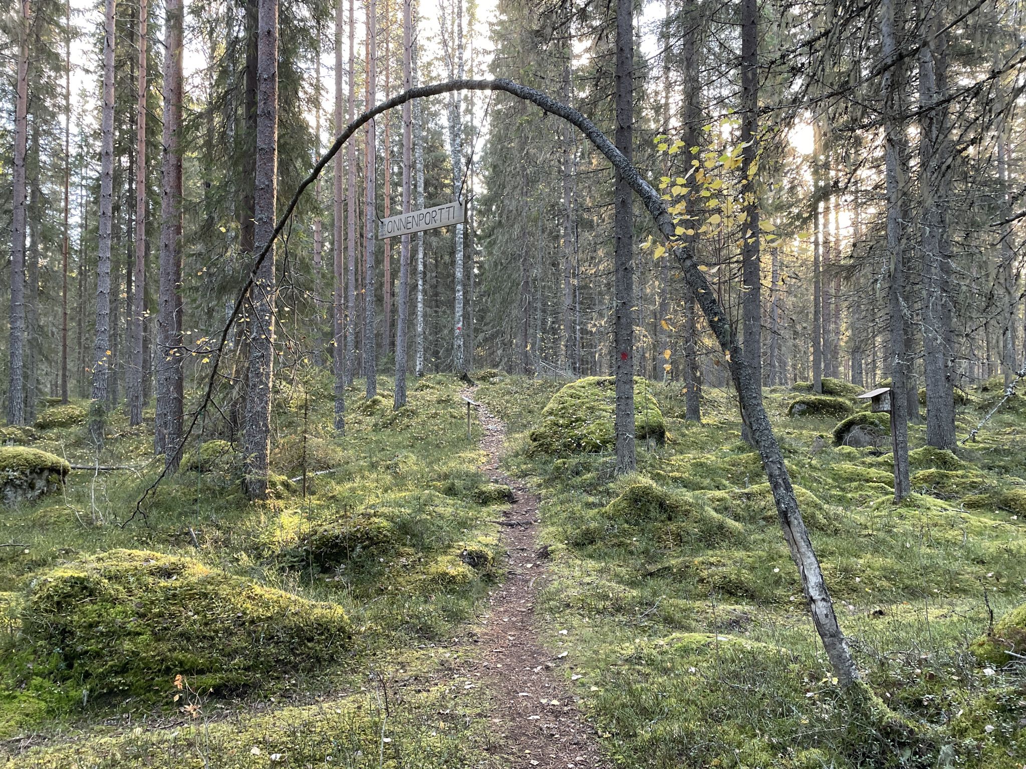 Oonenportti